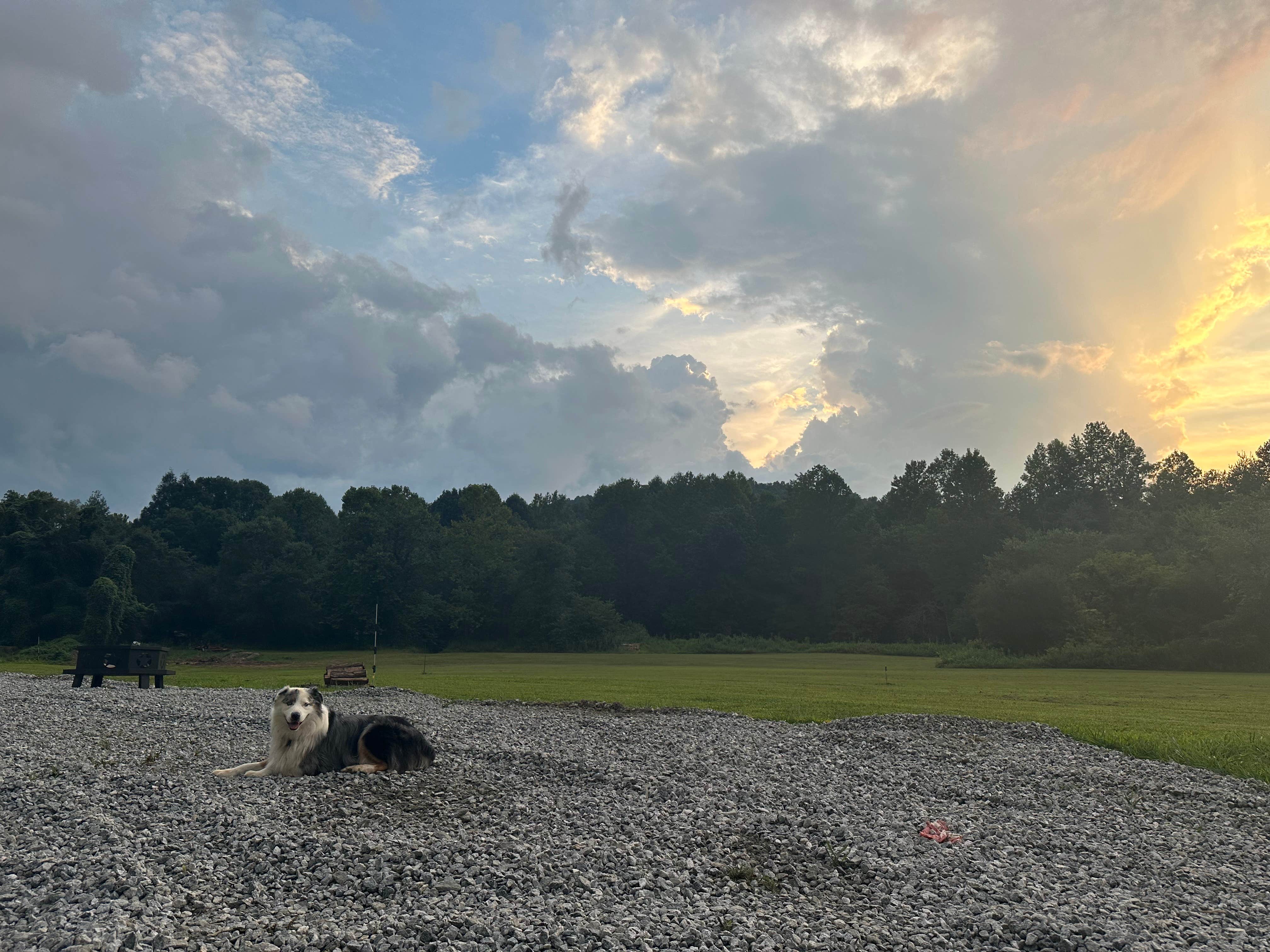River Life V.'s photo of camping with pets at River Life Village near Greenville, SC