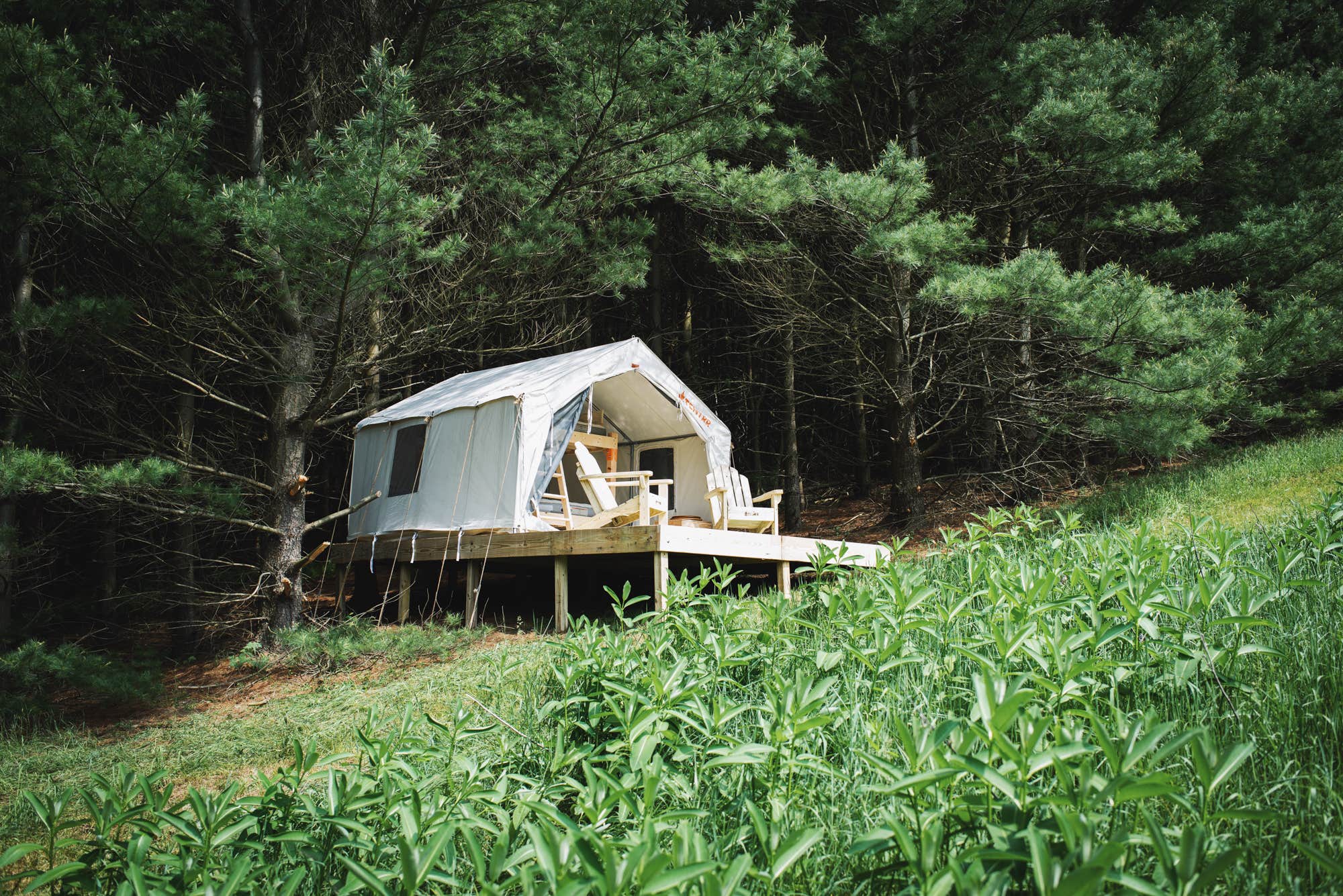 The Dyrt&#x27;s photo at Forest Hideaway near Slatington, PA