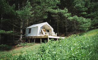 The Dyrt's photo at Forest Hideaway near Fogelsville, PA
