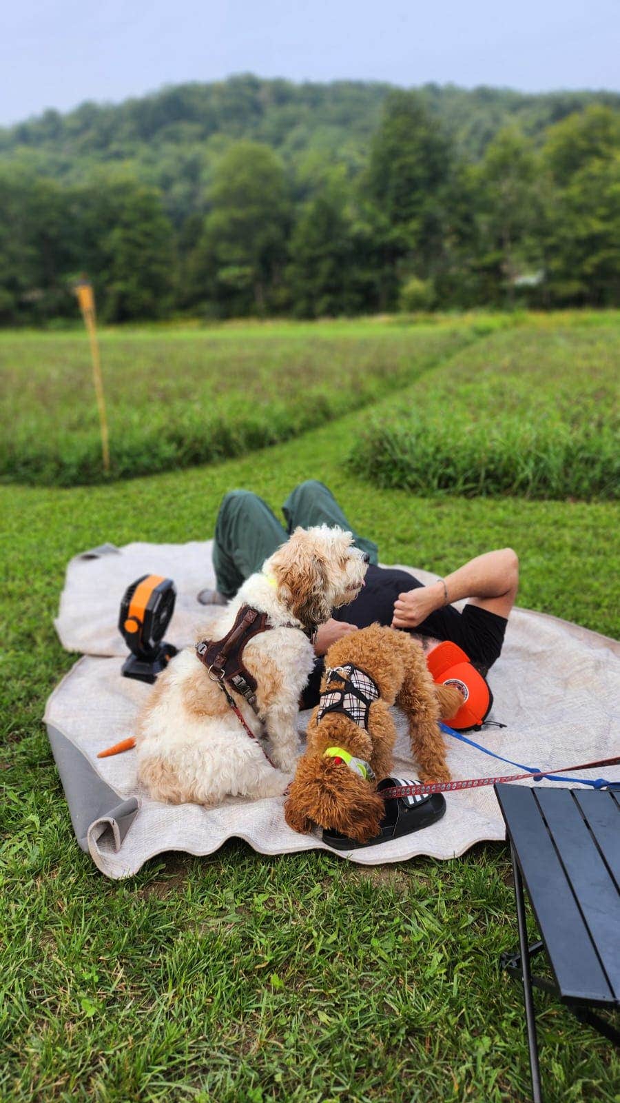 Camper-submitted photo at Dome@Meadows near Randolph, VT