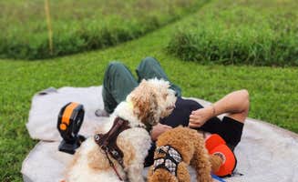 Nelson G.'s photo of camping with pets at Dome@Meadows near Hanover, NH