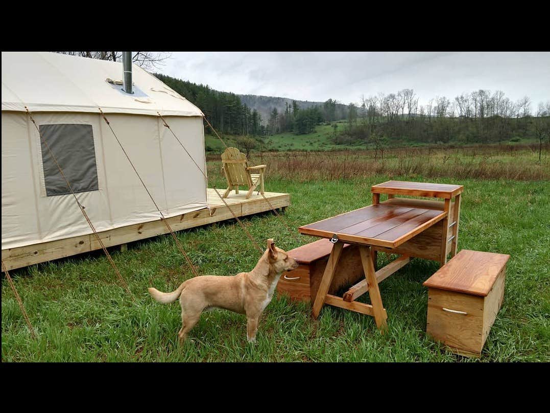 The Dyrt's photo at Whitting Hill Homestead near Loganton, PA