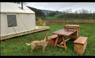 The Dyrt's photo of camping with pets at Whitting Hill Homestead near Snow Shoe, PA