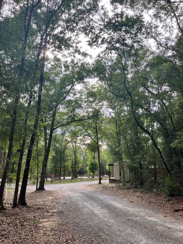 Camper-submitted photo at Lake City Campground near Paxton, FL