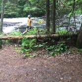 Review photo of Bond Falls Campground by Carrie C., September 16, 2016