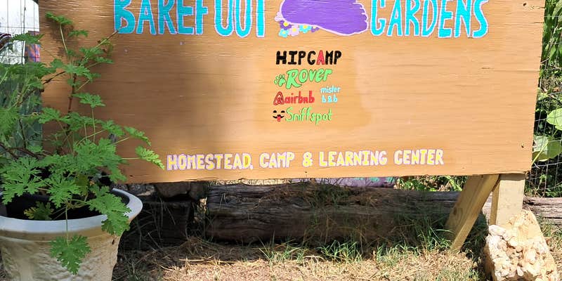 Camper submitted image from Barefoot Gardens Homestead Camp and Learning Center