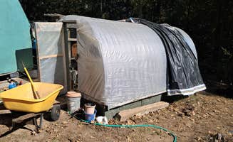 Steve Hammer's photo at Barefoot Gardens Homestead Camp and Learning Center near Maumelle, AR