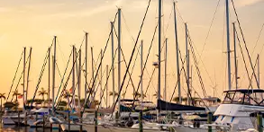 Camper submitted image from Palm Breeze Luxury RV Resort- *Coming 2025*