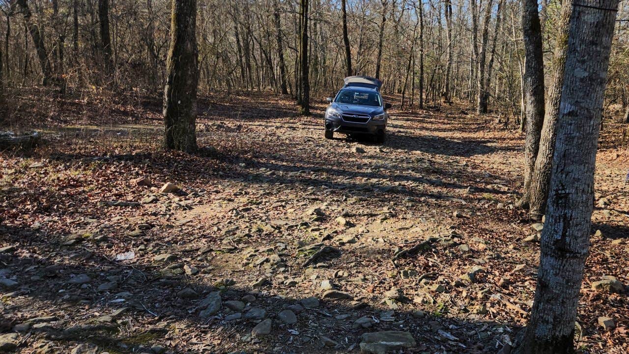 Camping near Forest Rd 179 Dispersed: Forest Rd 179 Creekside Dispersed, Paron, Arkansas