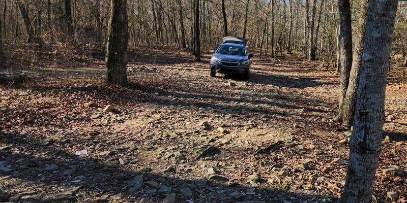 Camper submitted image from Forest Rd 179 Creekside Dispersed