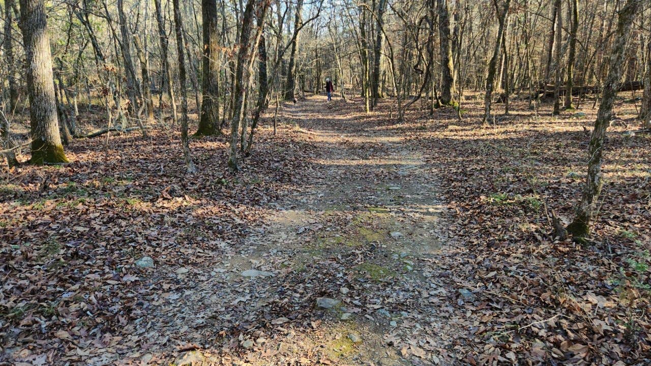 Camper-submitted photo at Forest Rd 179 Creekside Dispersed near Maumelle, AR