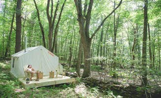 The Dyrt's photo at Deer Run near Rowland, PA