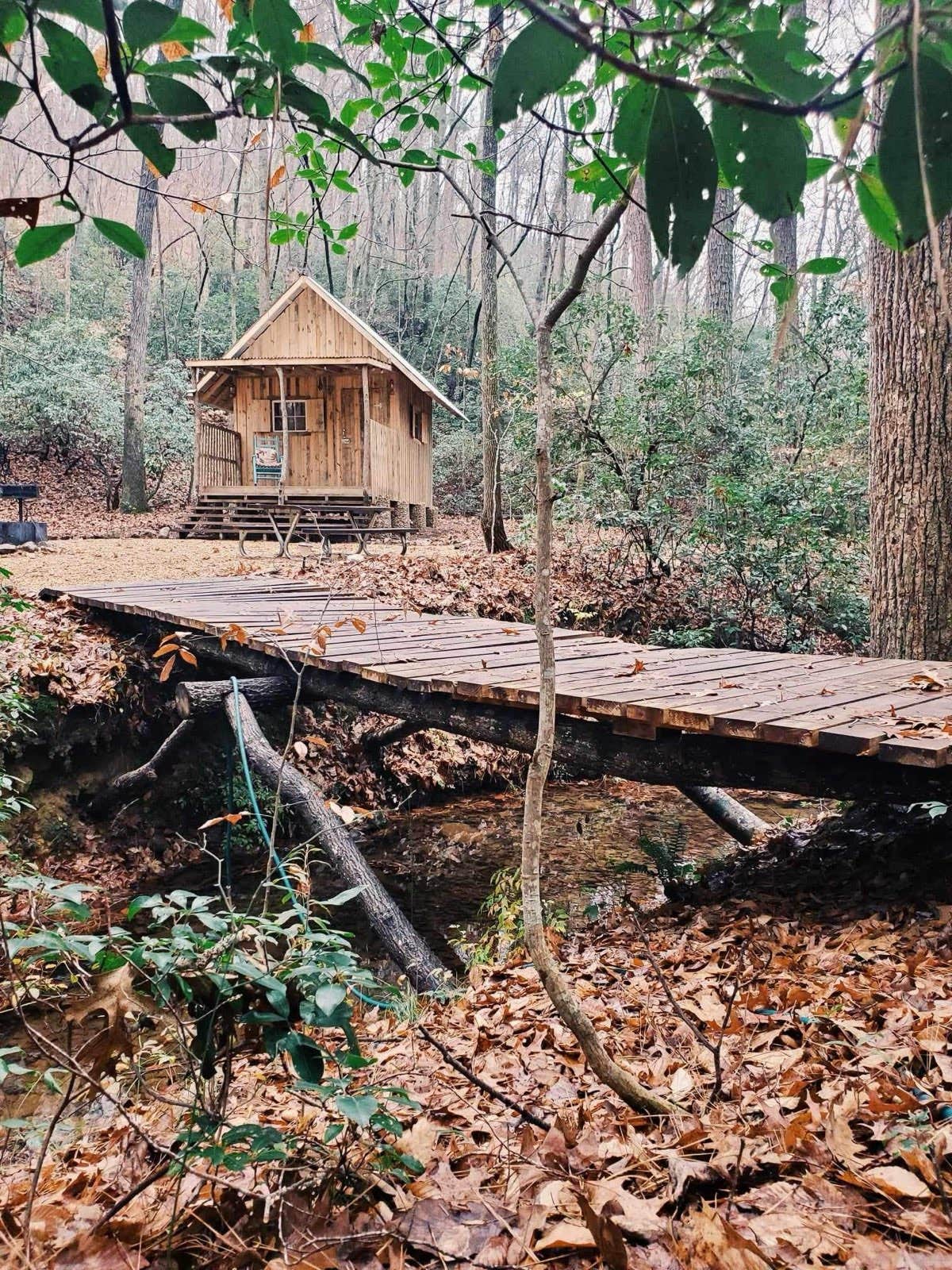 Camping near Warden Station Horse Camp: Misfit Mountain, Jacksonville, Alabama