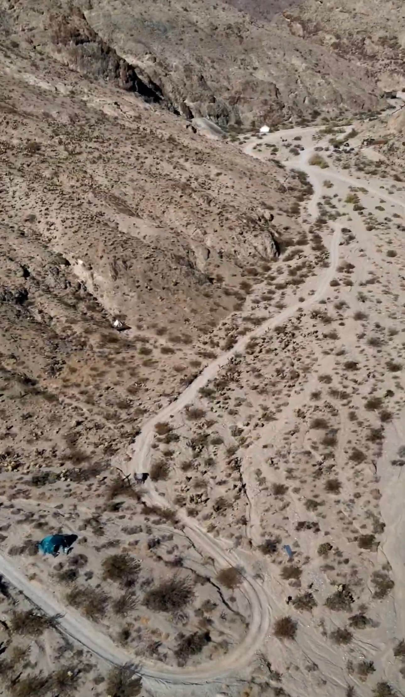 Camper-submitted photo at Vegas Glamping near Nipton, CA