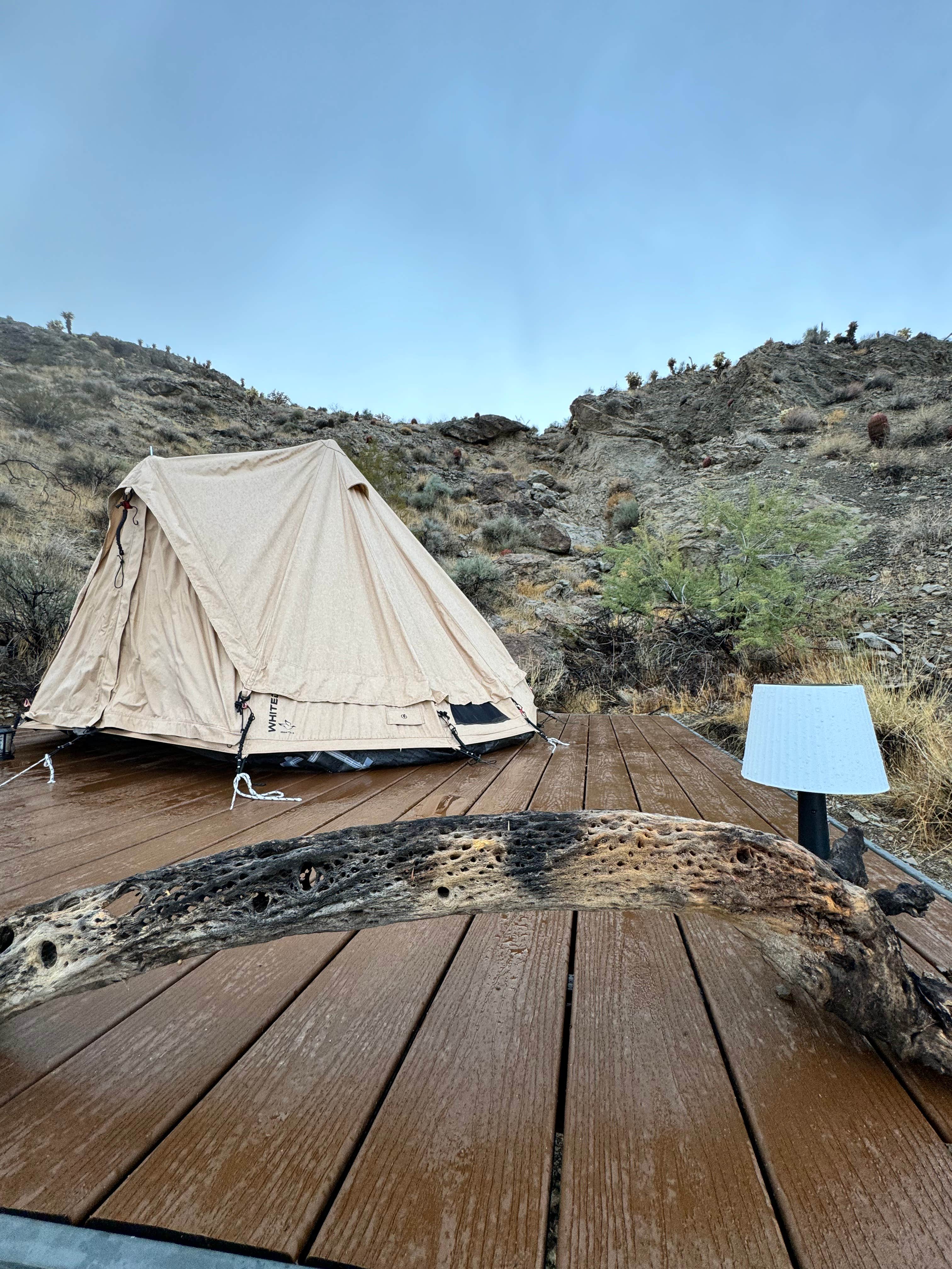 Vegas G.'s photo at Vegas Glamping near Sloan, NV