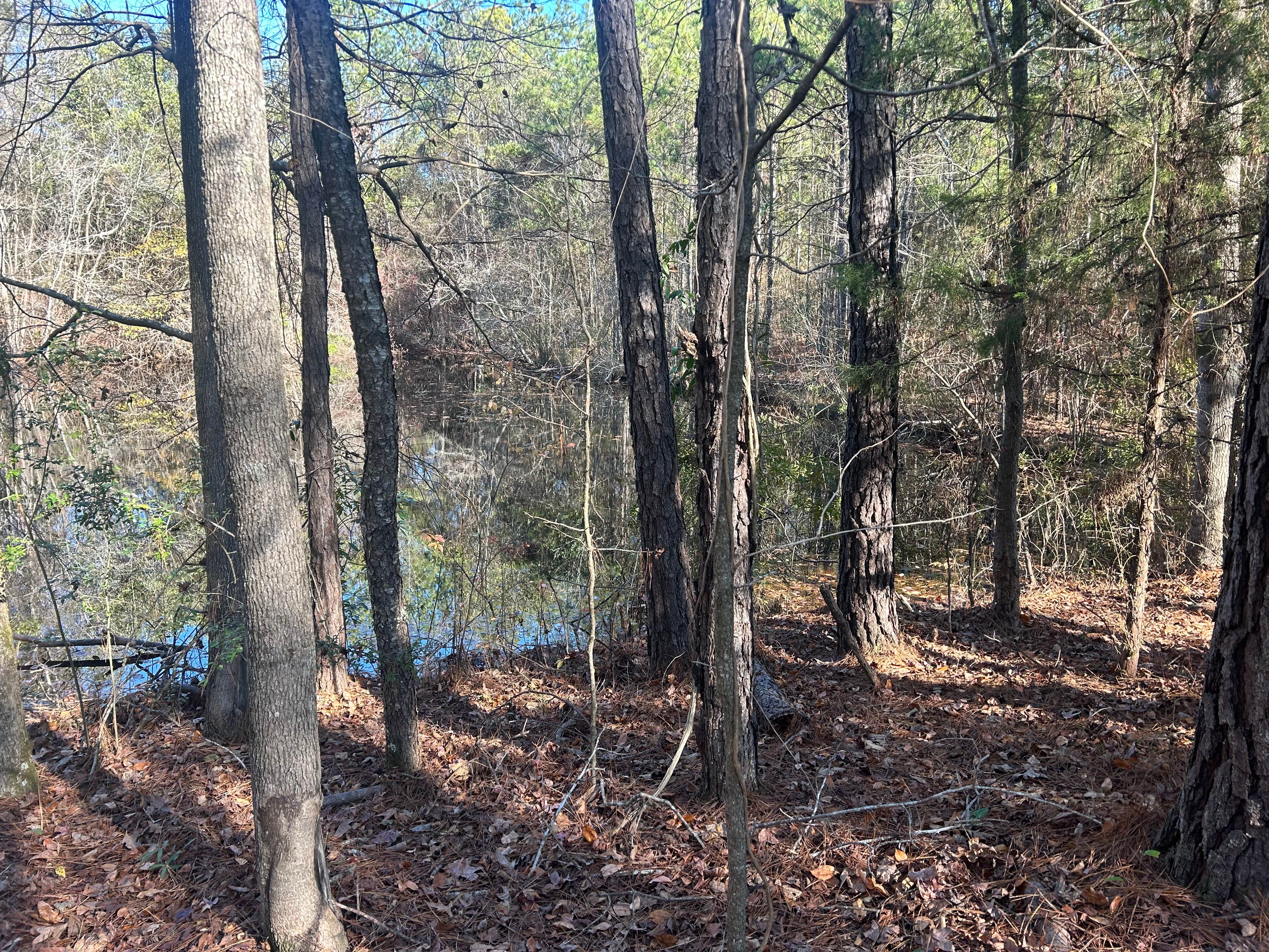 Camper-submitted photo at JAM Mission near Tuskegee, AL