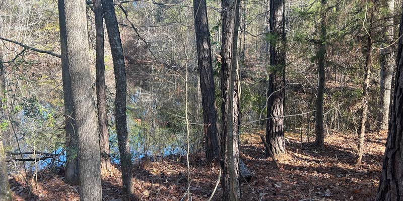 Camper submitted image from JAM Mission