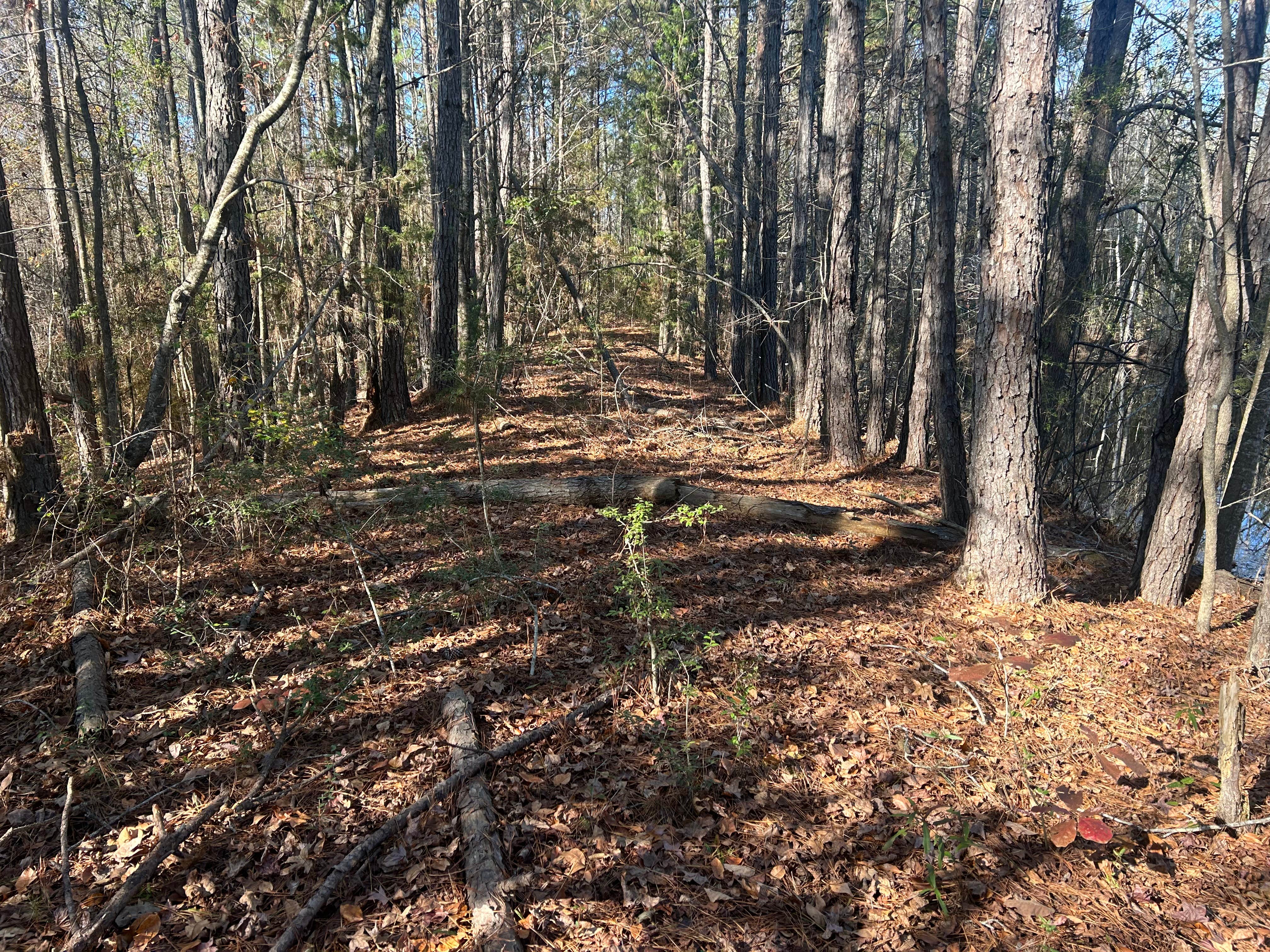 Camper-submitted photo at JAM Mission near Tuskegee, AL
