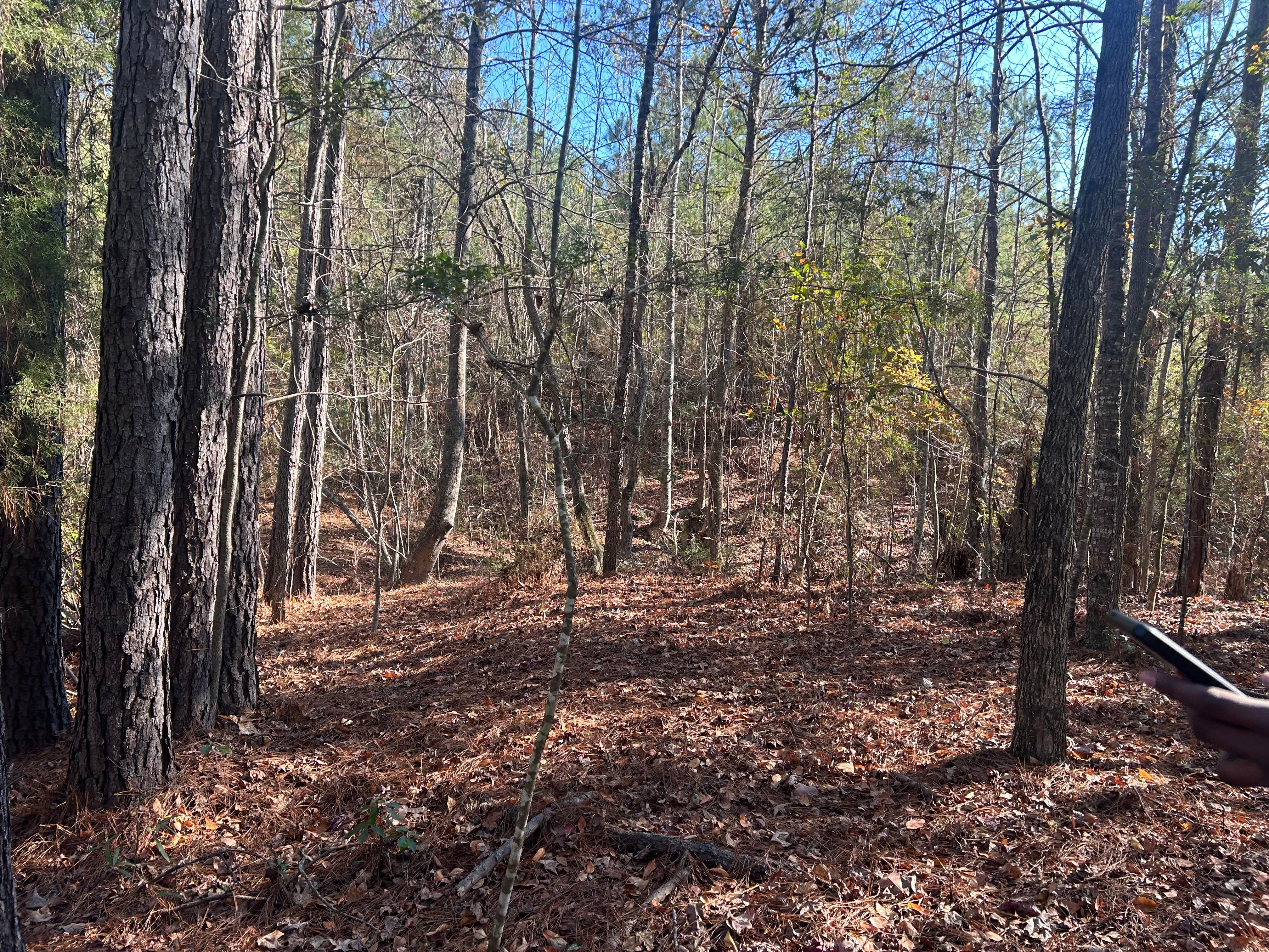 Camper-submitted photo at JAM Mission near Tuskegee, AL