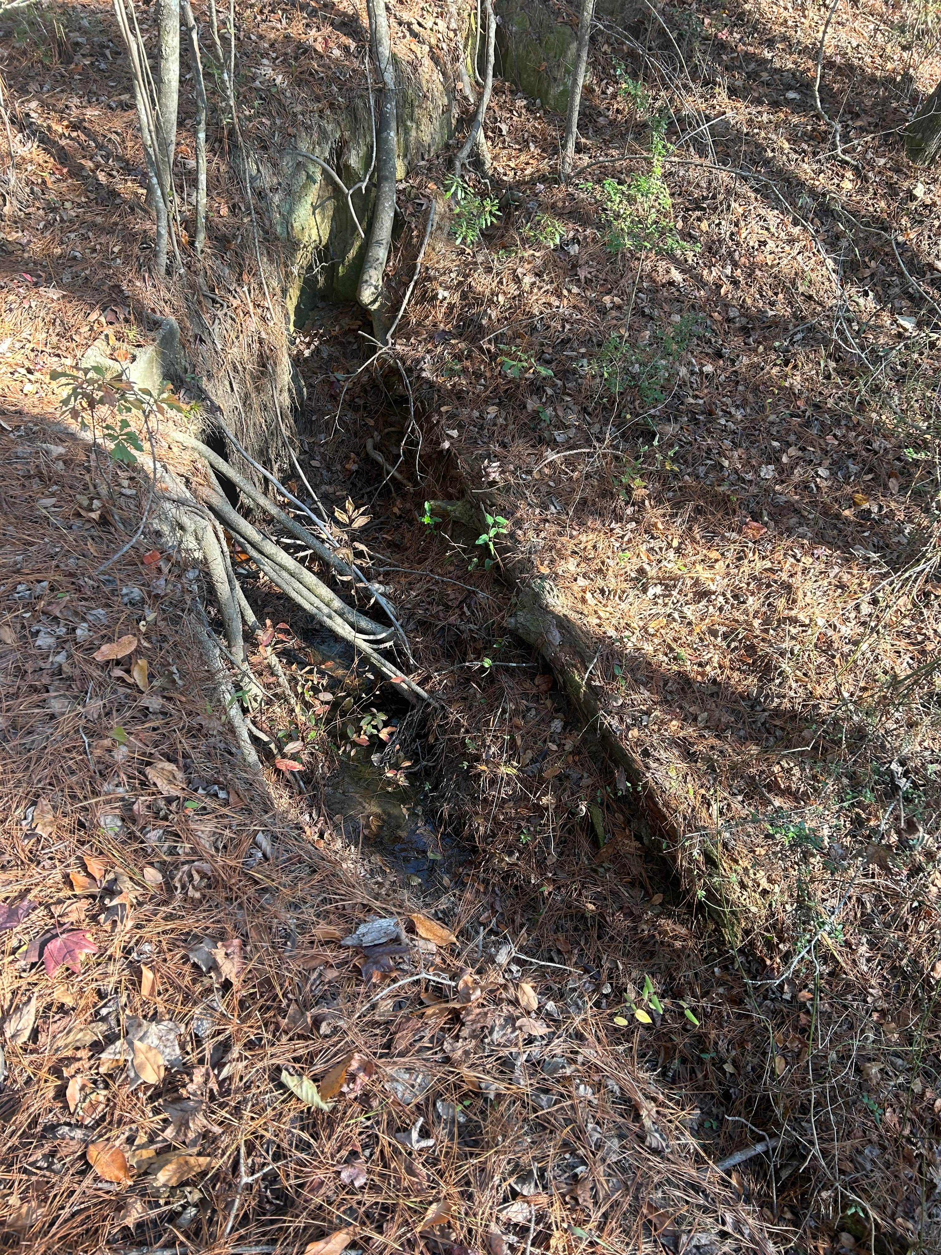 Camper-submitted photo at JAM Mission near Tuskegee, AL