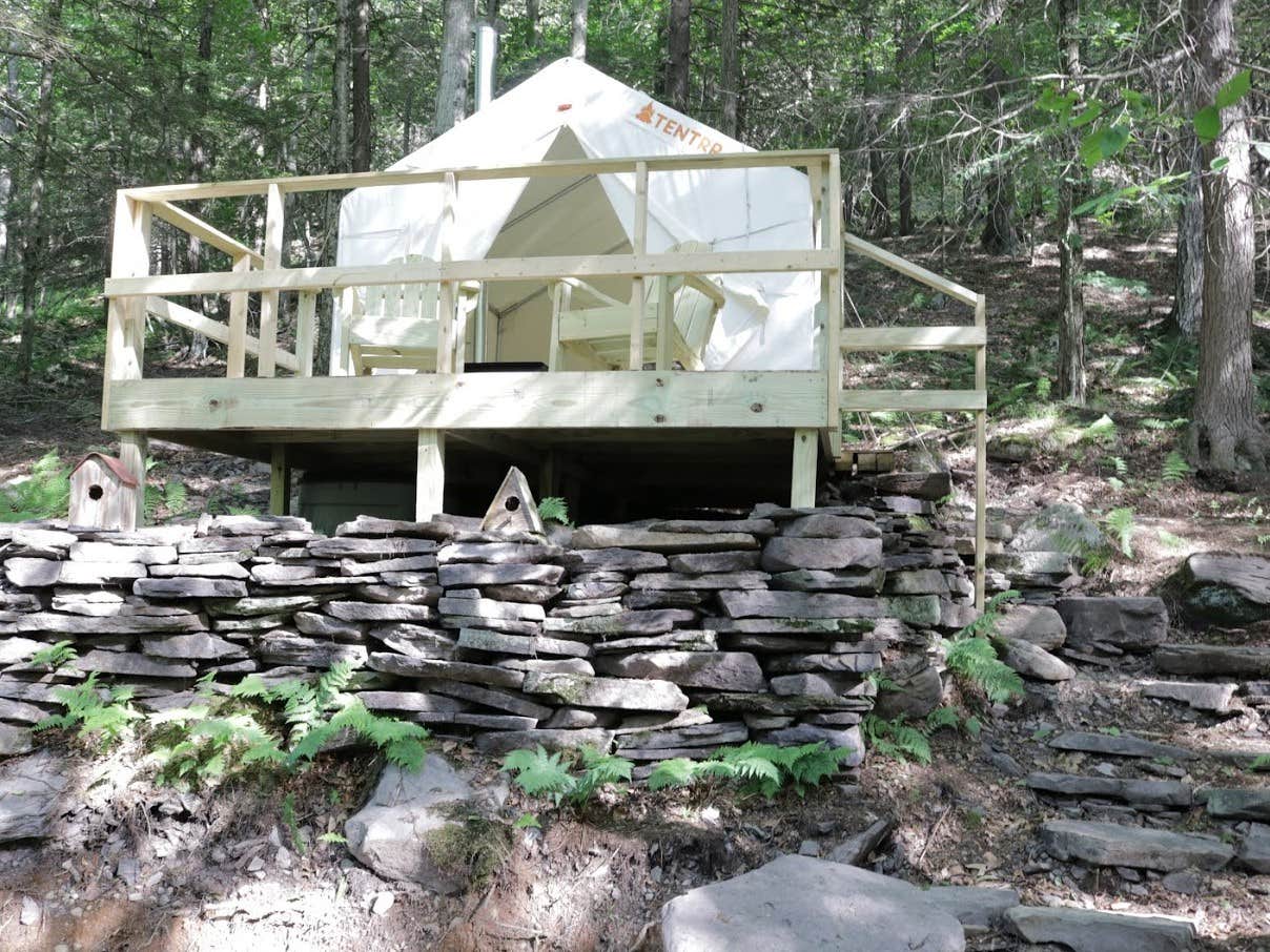 The Dyrt's photo at Birdwatcher near Shandaken, NY