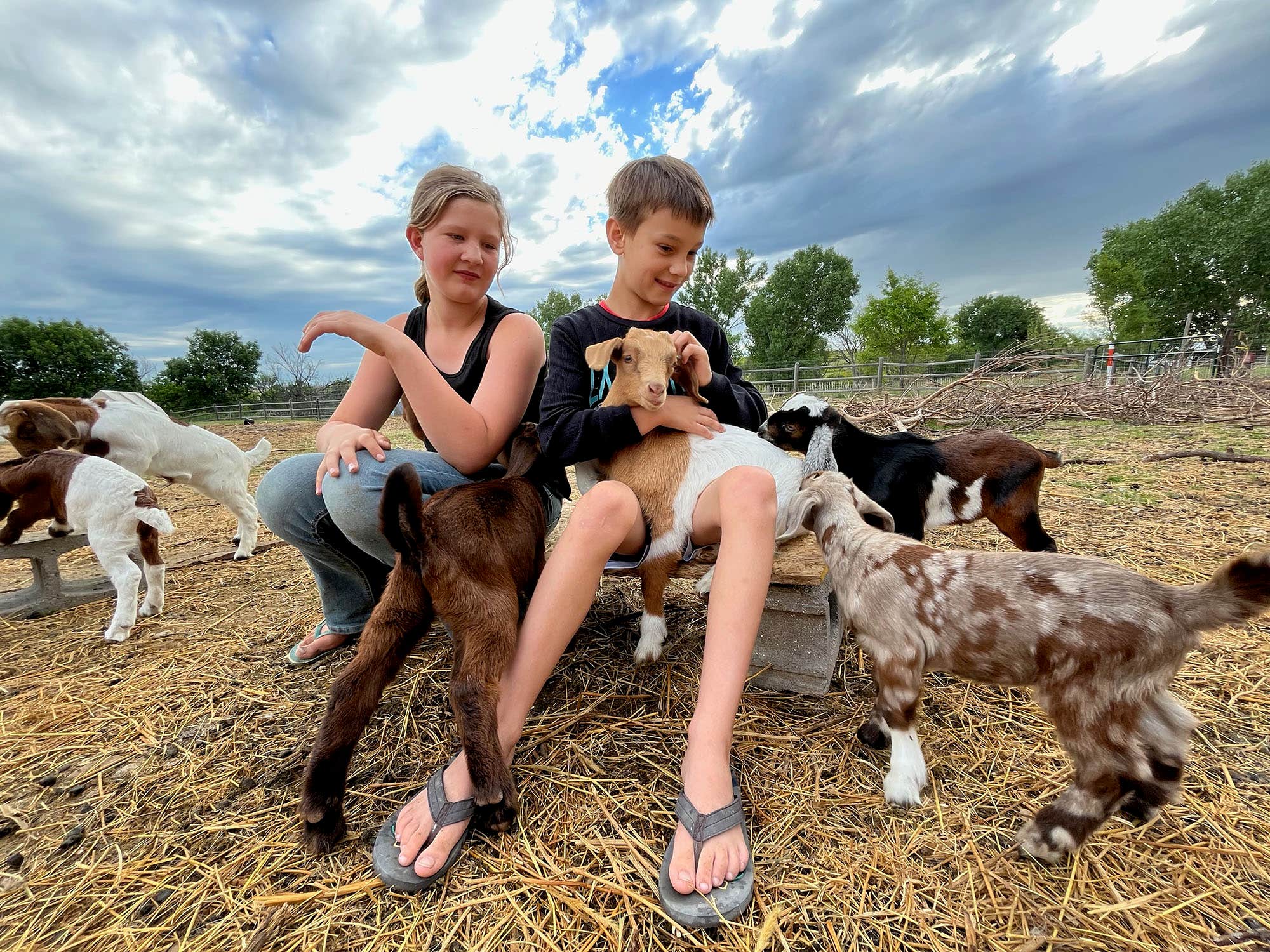 Camper-submitted photo at Badlands Heritage Guest Ranch near Philip, SD