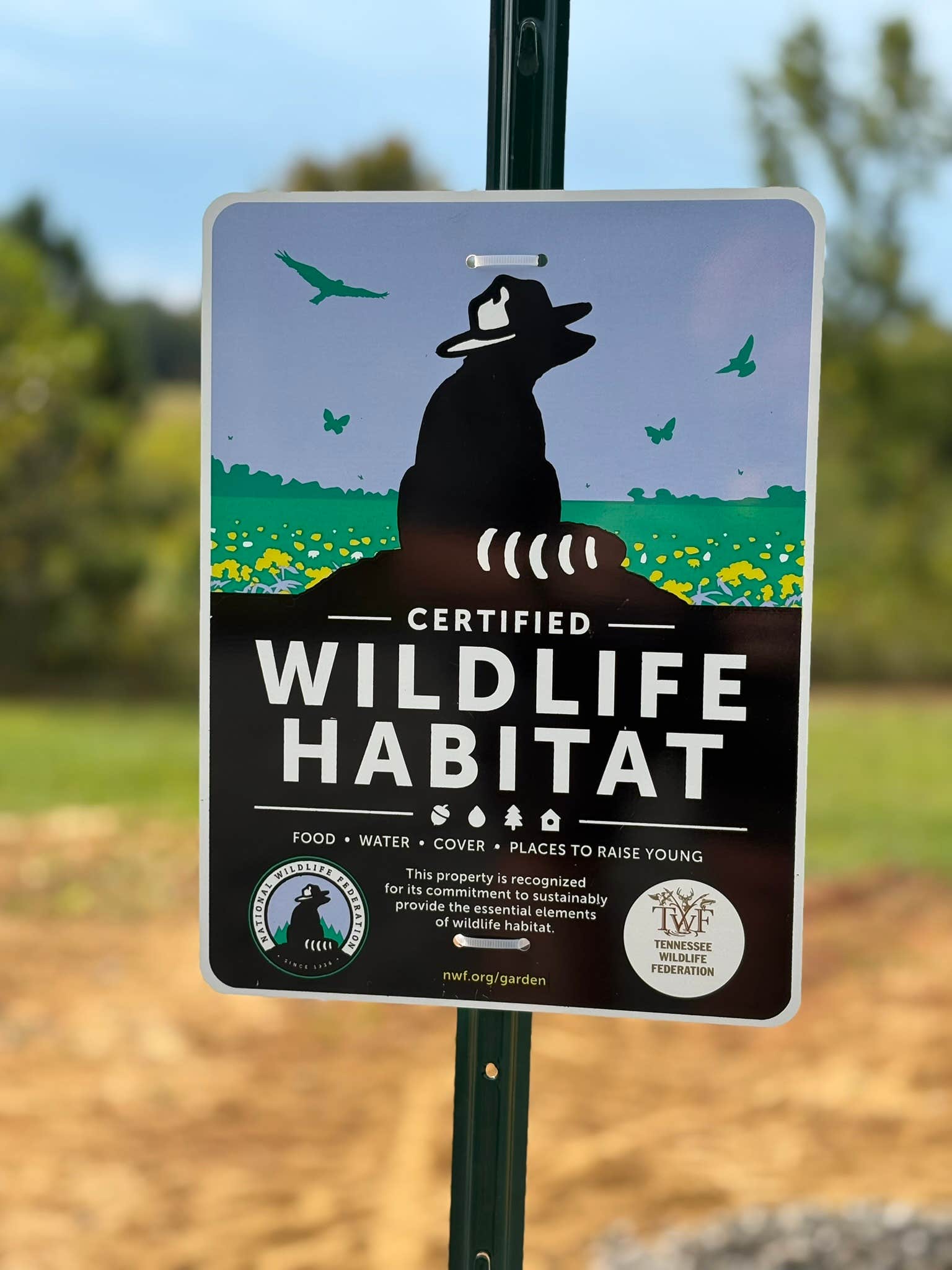 Camper-submitted photo at Black Bear Plantation near Ooltewah, TN