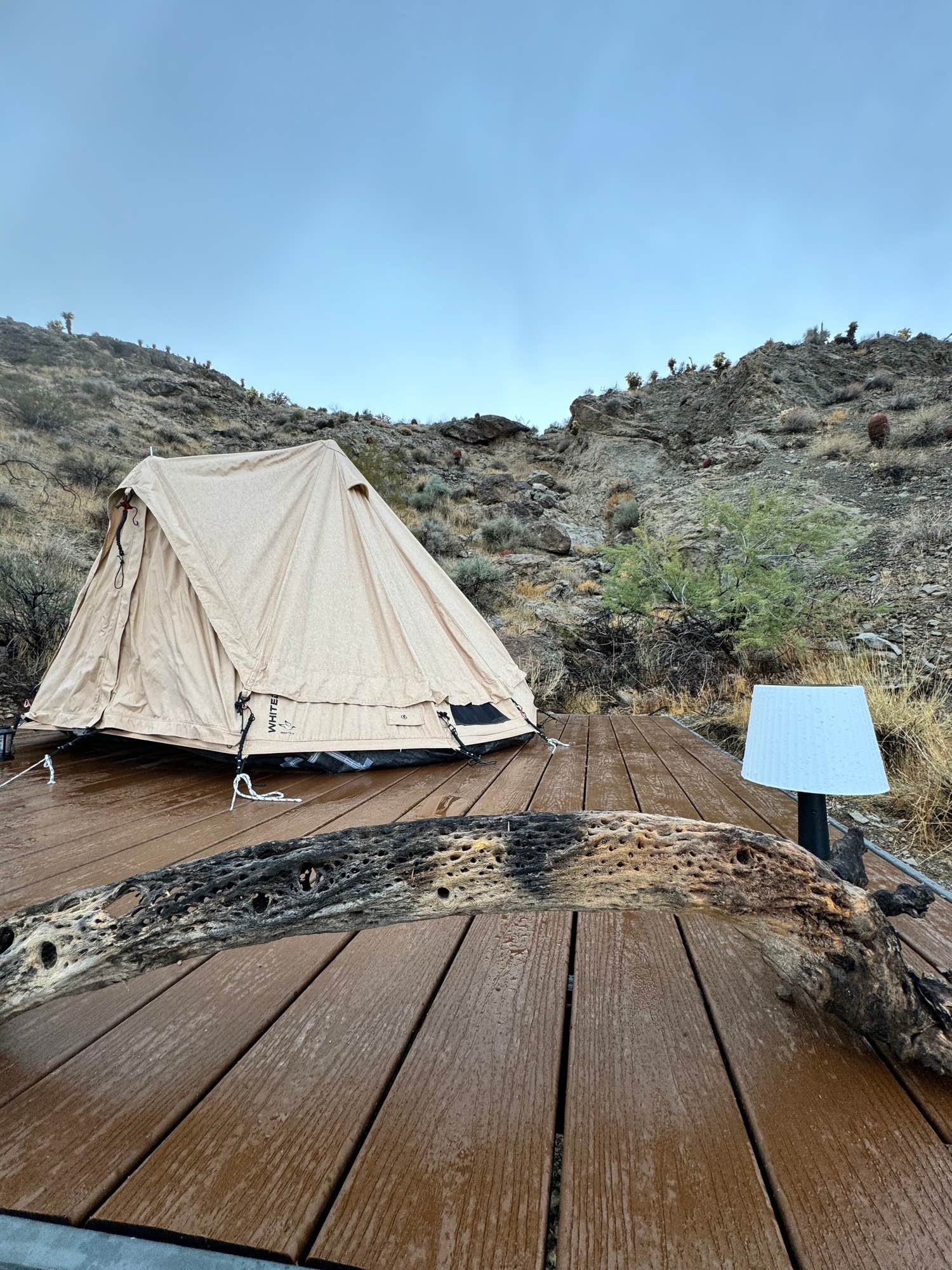 The Dyrt's photo of tent camping at Vegas Glamping near Nipton, CA