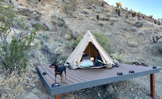 The Dyrt's photo of camping with pets at Vegas Glamping near Willow Beach, AZ