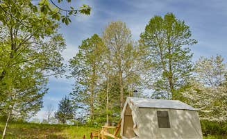 The Dyrt's photo at Starlight Starbright near Ellenville, NY