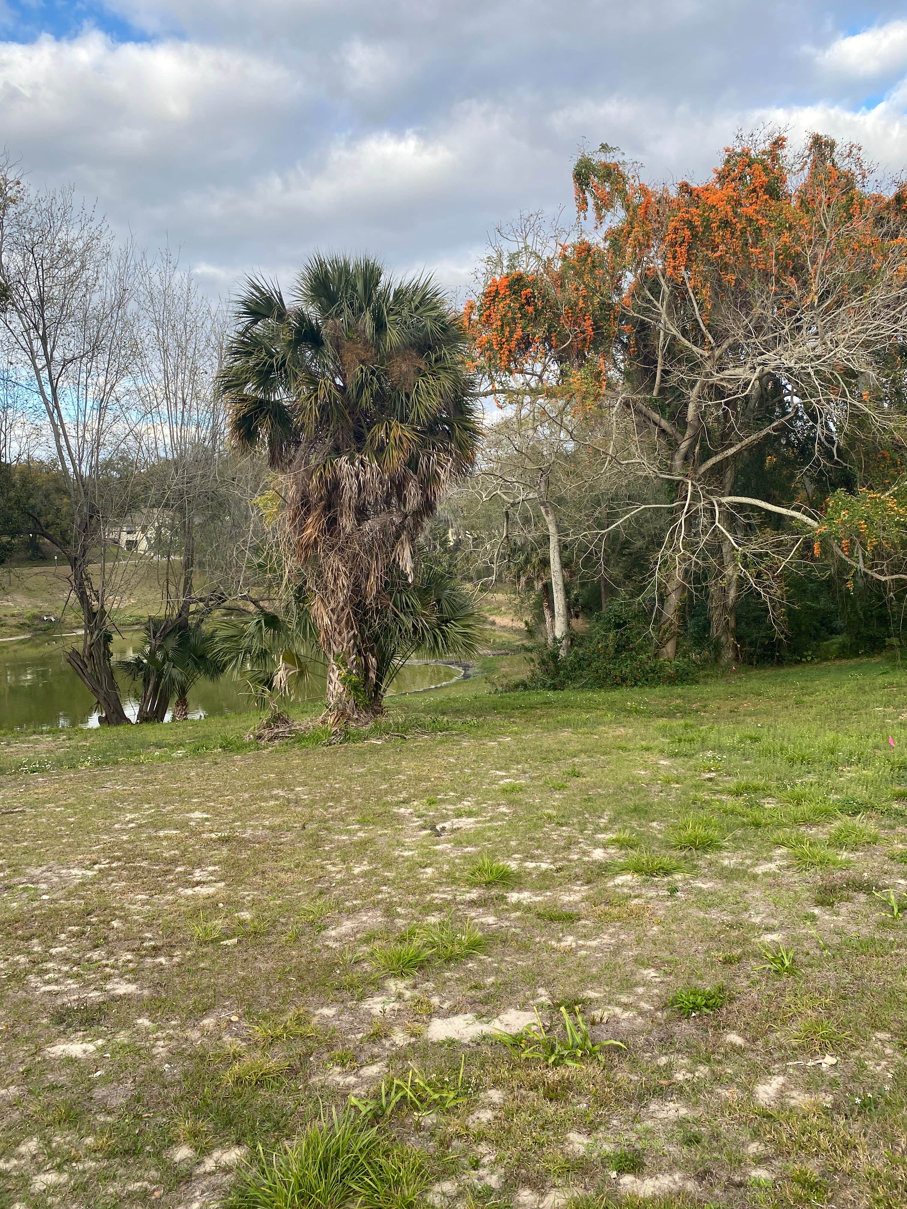 Camper-submitted photo at Rebecca’s Respite near Groveland, FL