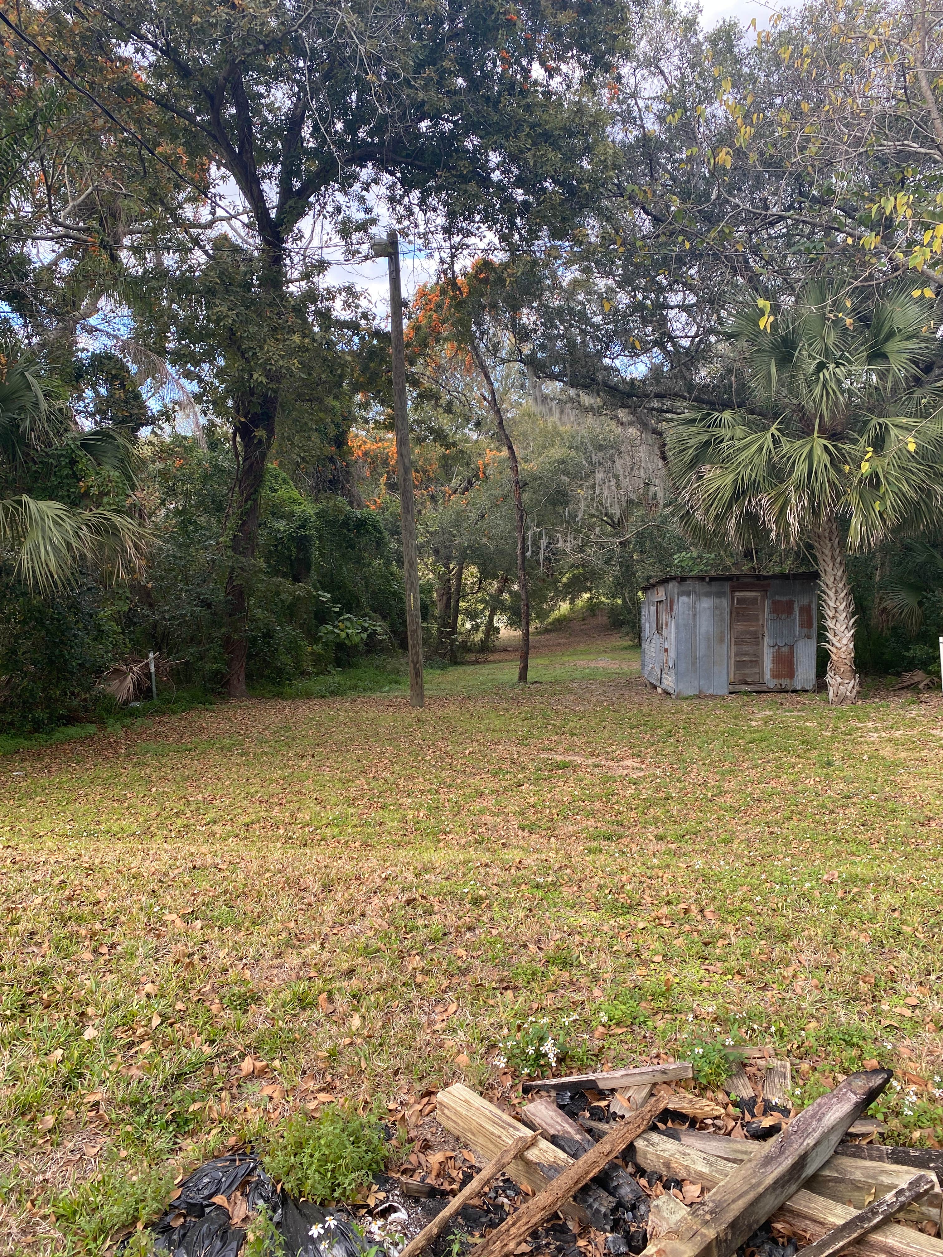 Camper-submitted photo at Rebecca’s Respite near Groveland, FL