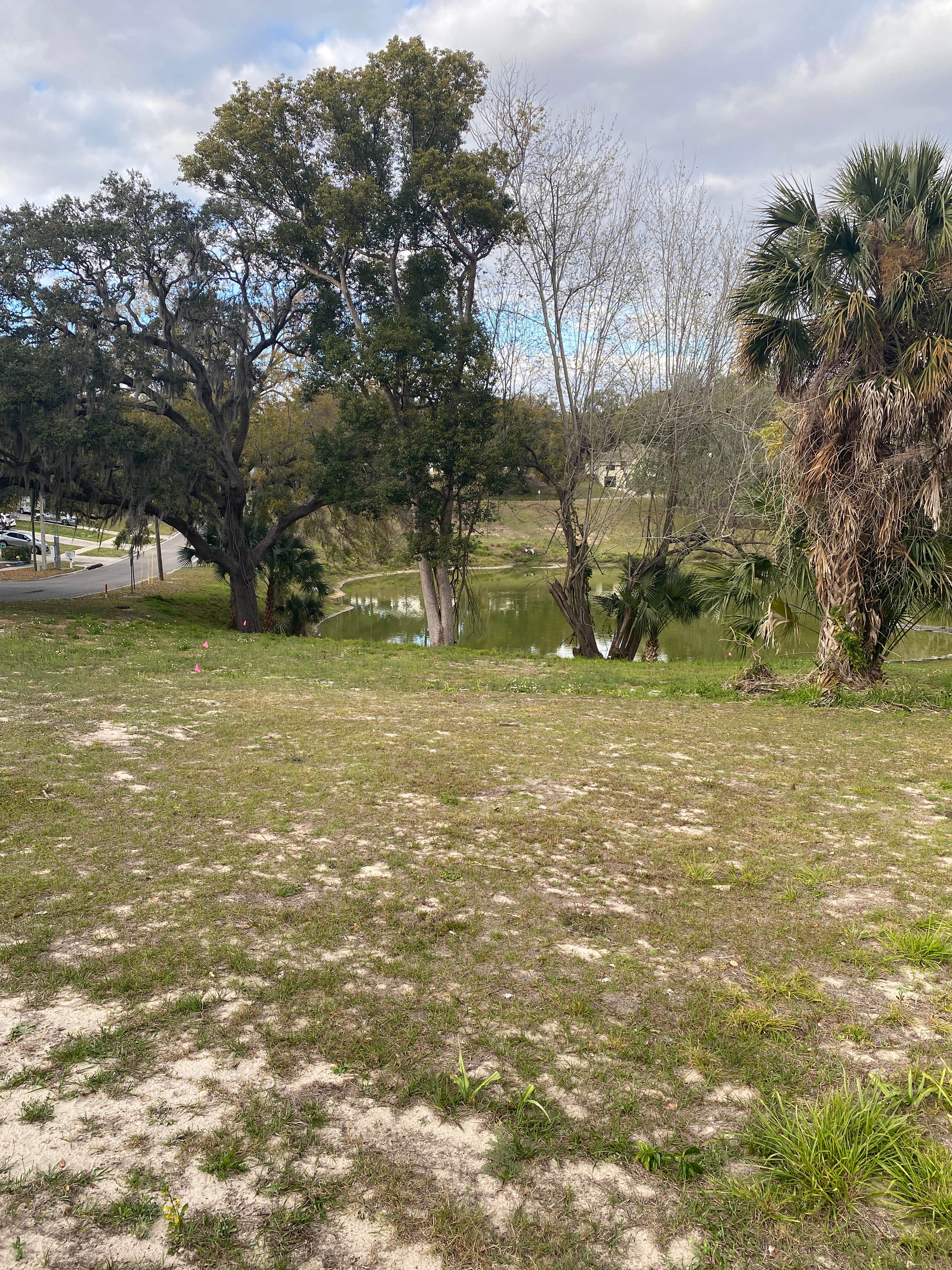 Camper-submitted photo at Rebecca’s Respite near Groveland, FL