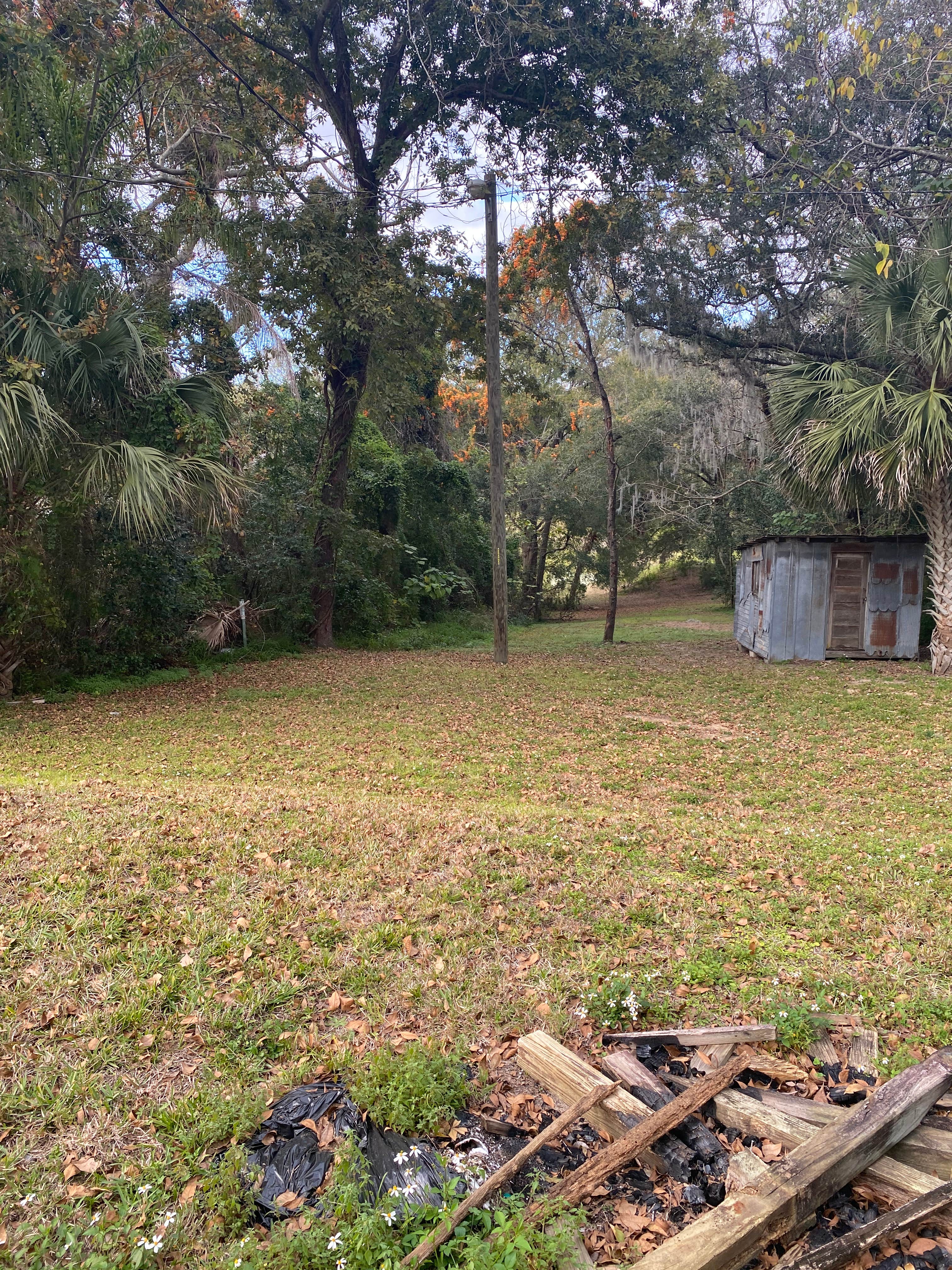 Camper-submitted photo at Rebecca’s Respite near Groveland, FL