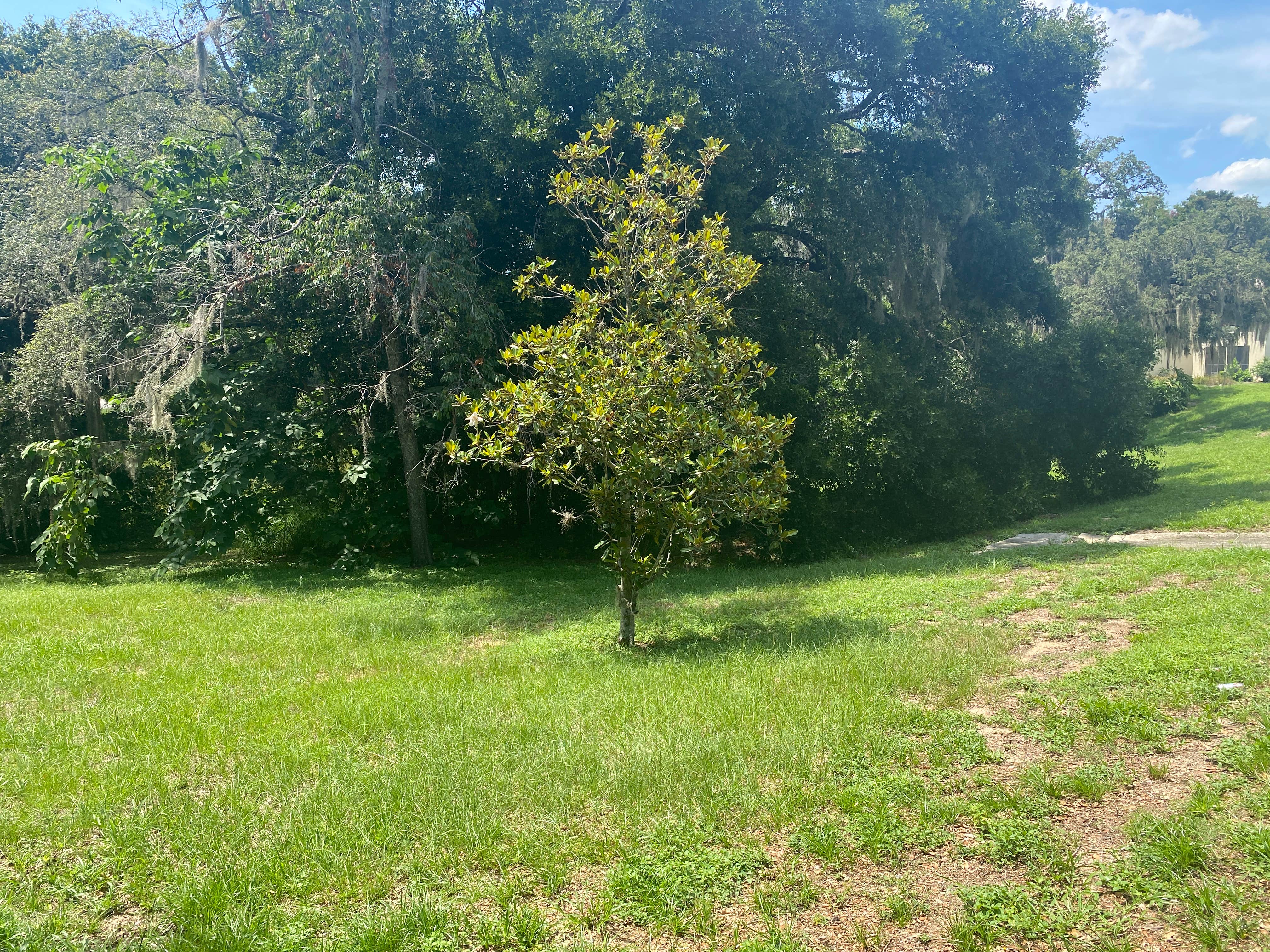 Camper-submitted photo at Rebecca’s Respite near Groveland, FL