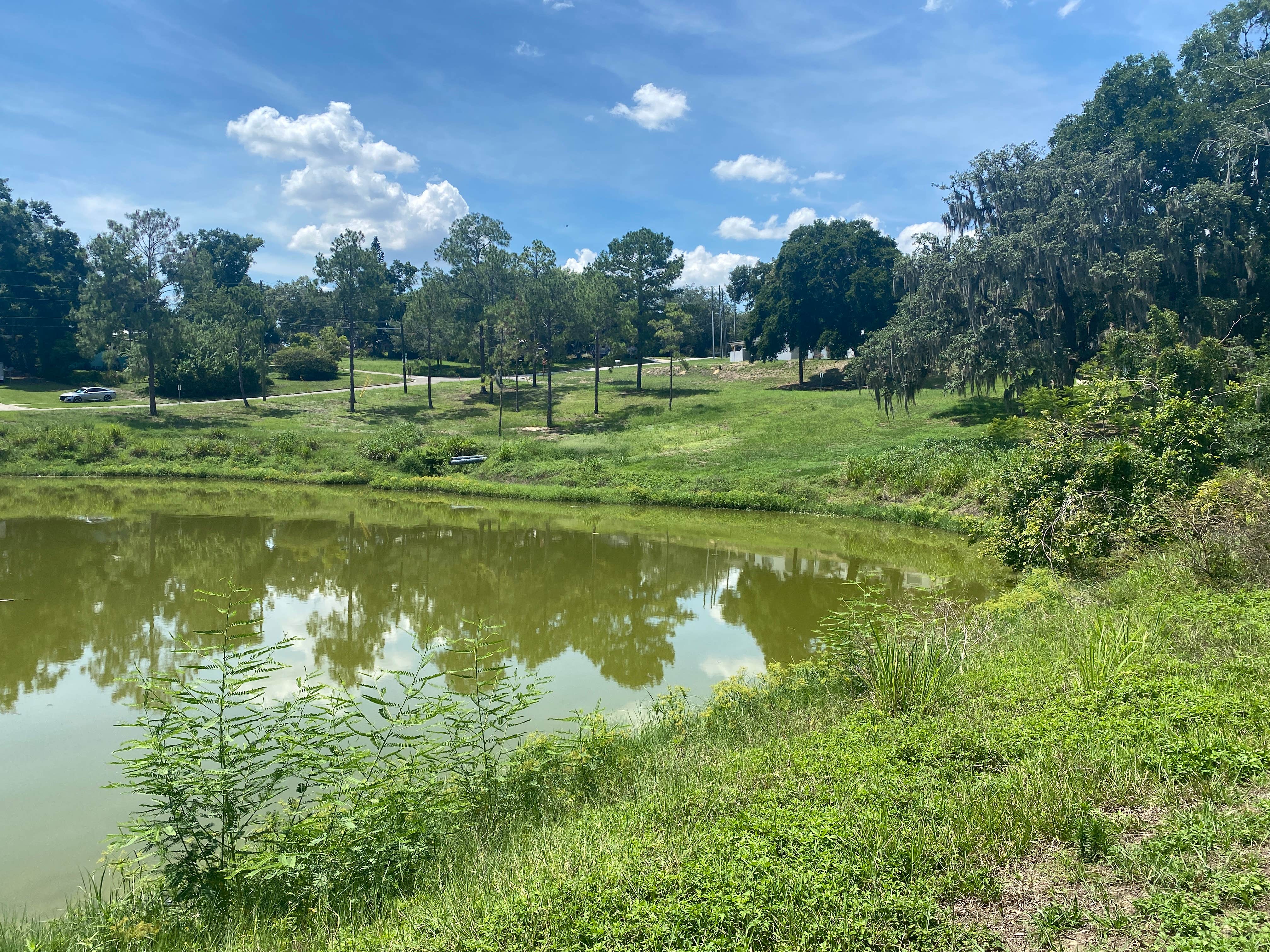 Camper-submitted photo at Rebecca’s Respite near Groveland, FL
