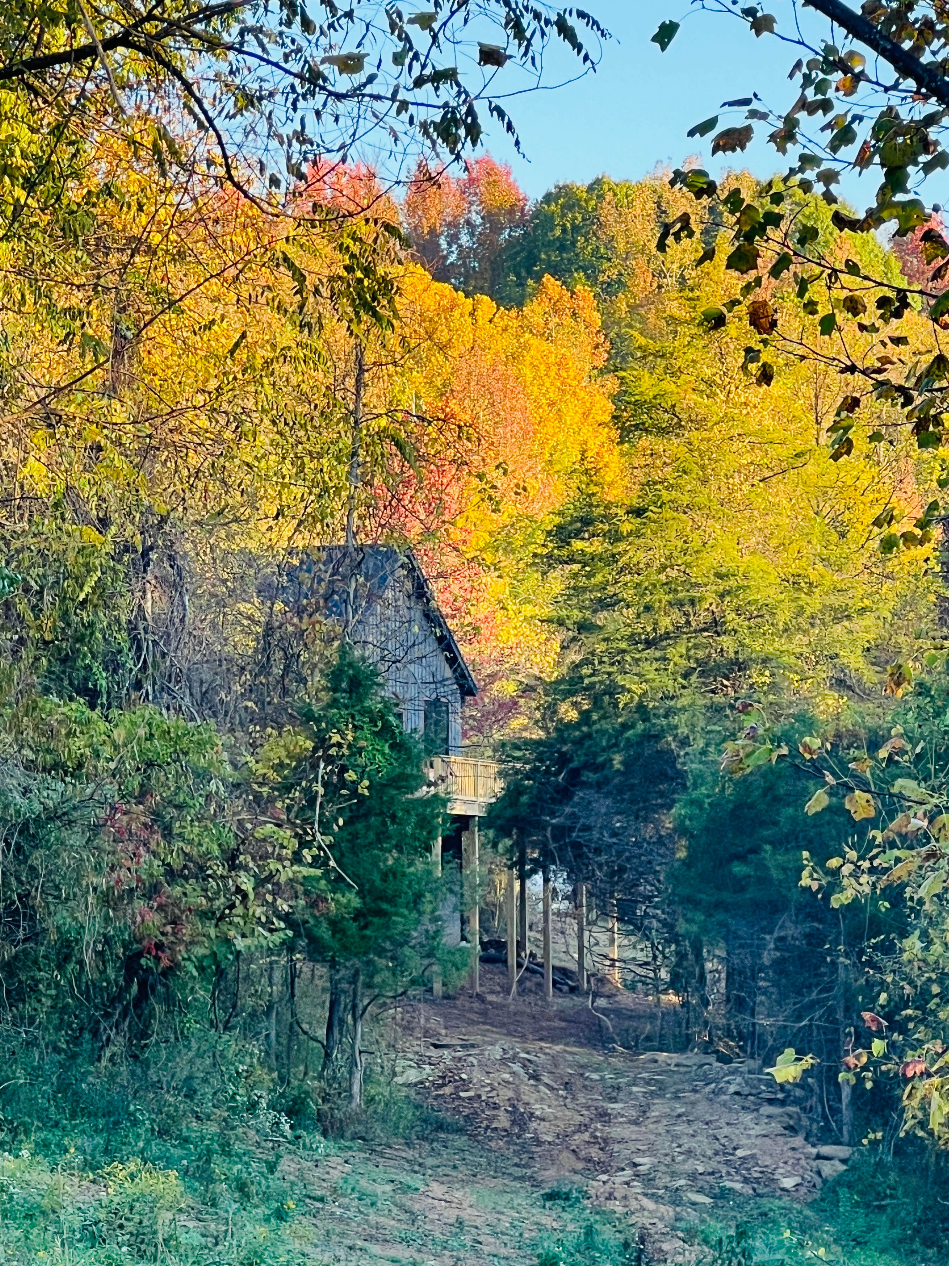 Camper-submitted photo at Farver Acres near Letart, WV