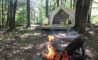 The Dyrt's photo at Maine Vibes Farm near Levant, ME