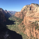 Review photo of South Campground — Zion National Park by Molly G., September 16, 2016