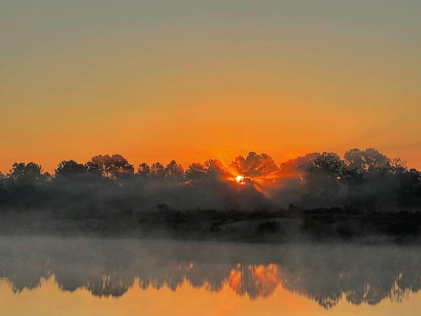 Camper-submitted photo at Canter Lakes Farm near Burgaw, NC