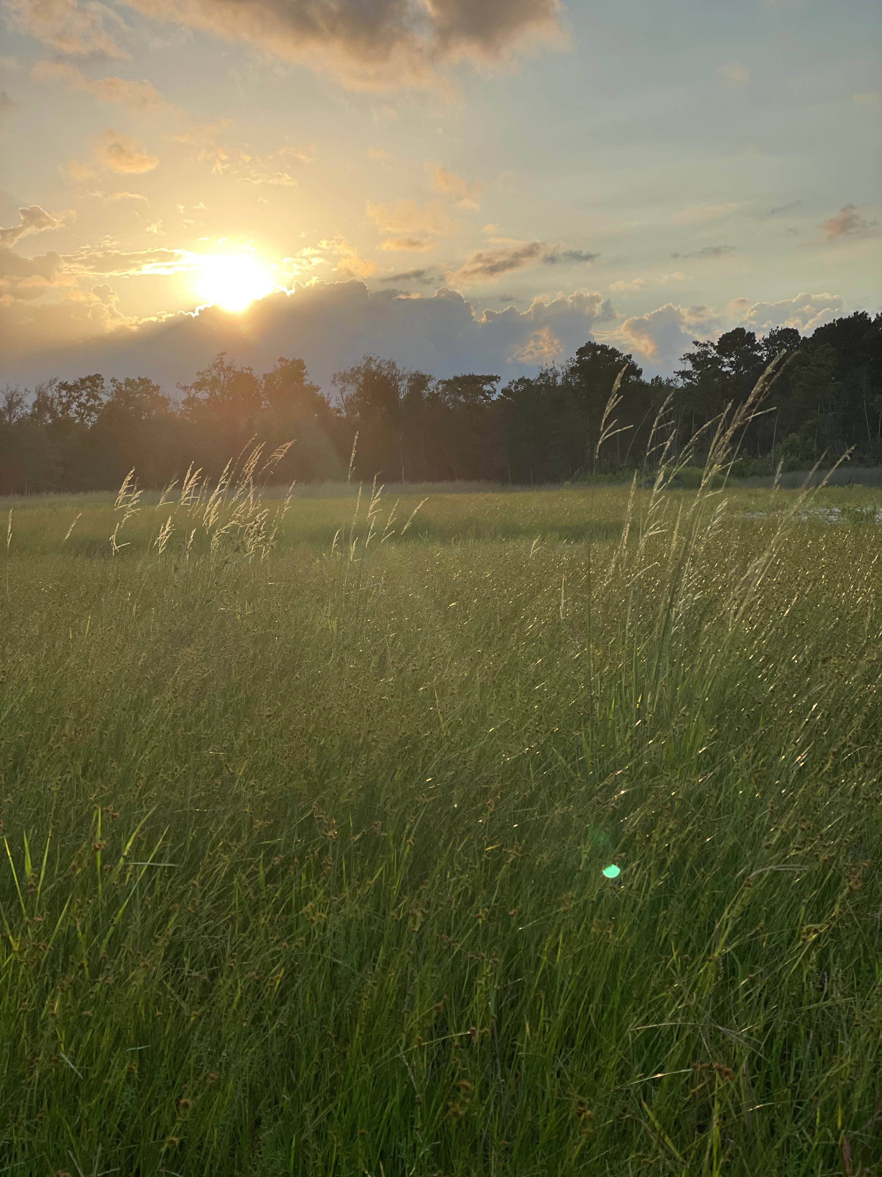 Camper-submitted photo at Canter Lakes Farm near Burgaw, NC