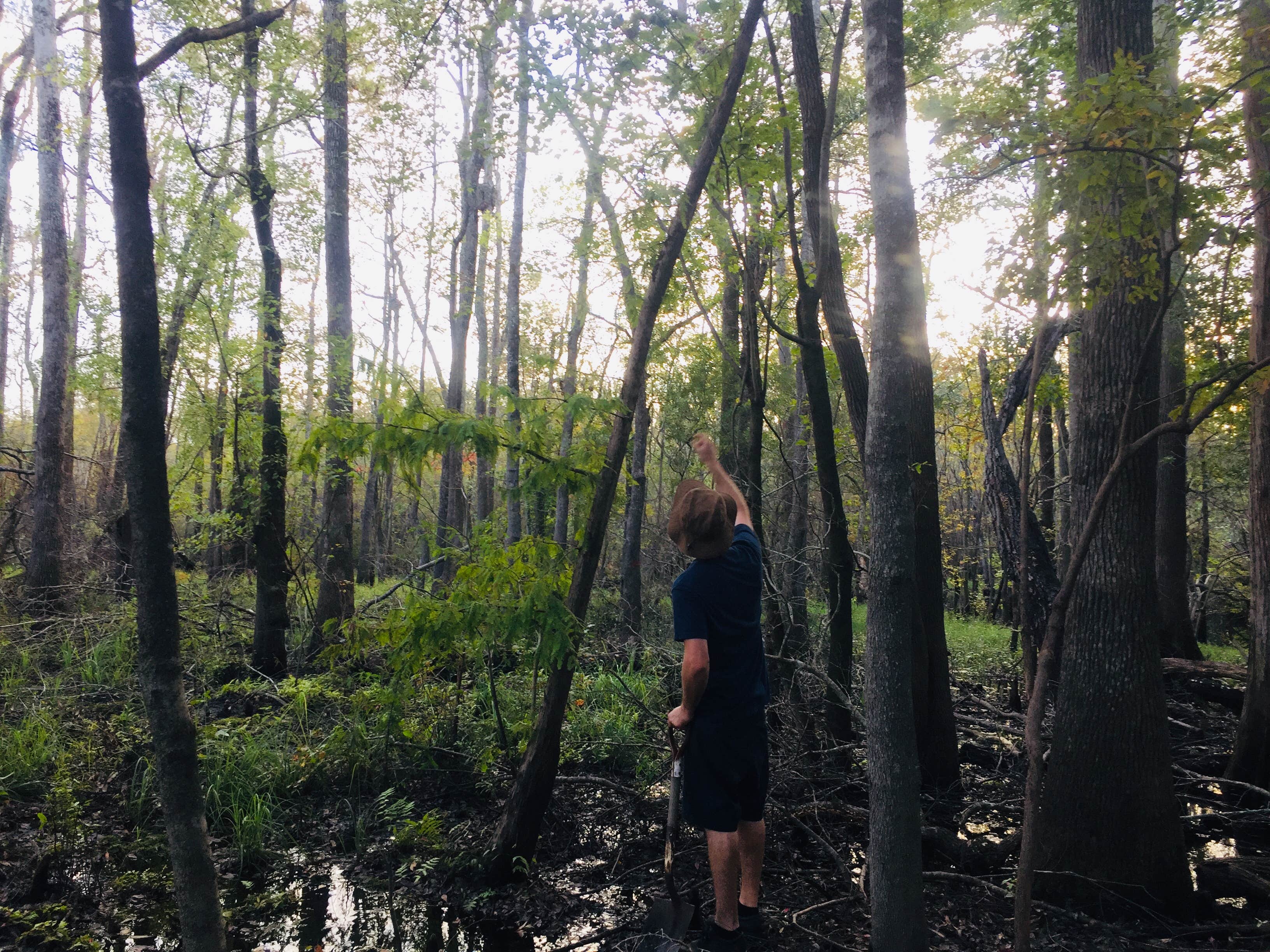 Camper-submitted photo at Canter Lakes Farm near Burgaw, NC