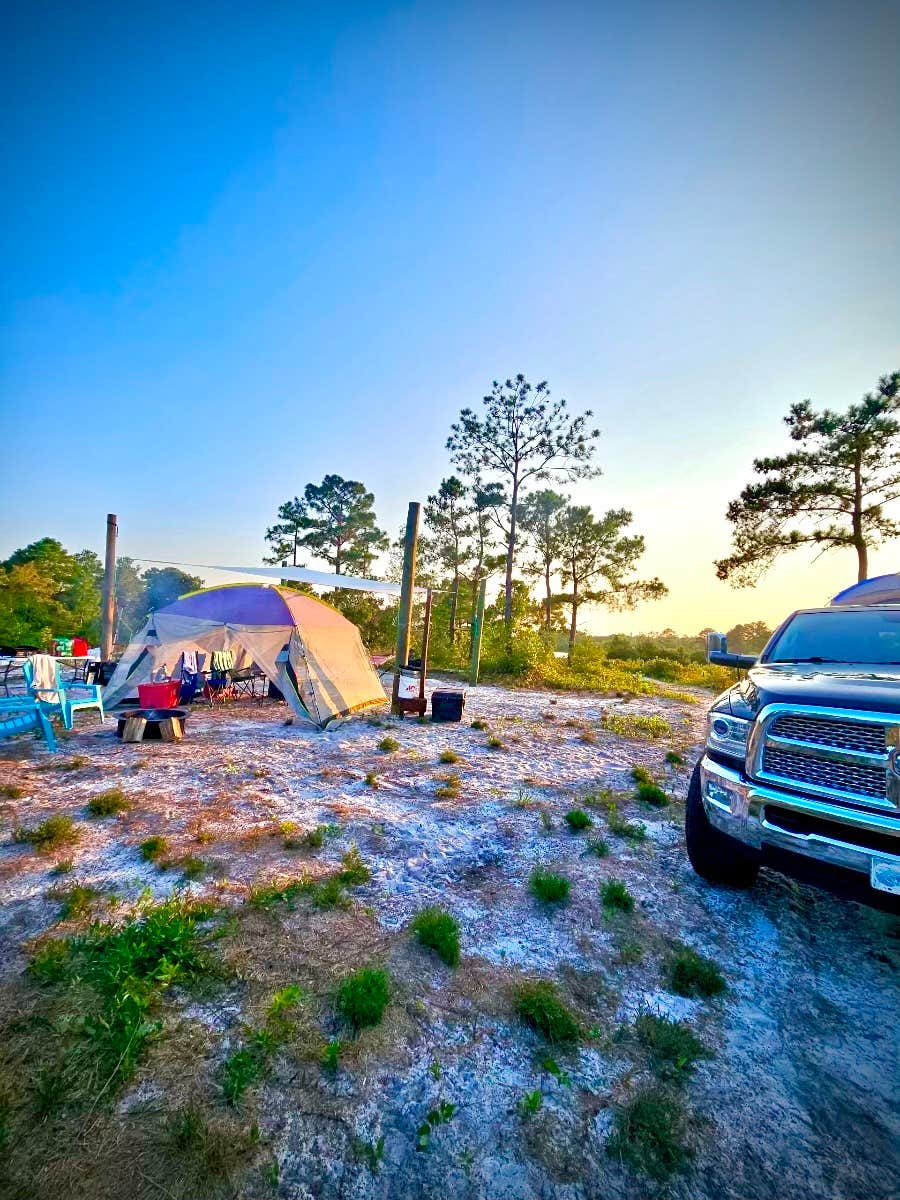 Julie W.'s photo at Canter Lakes Farm near Wrightsville Beach, NC