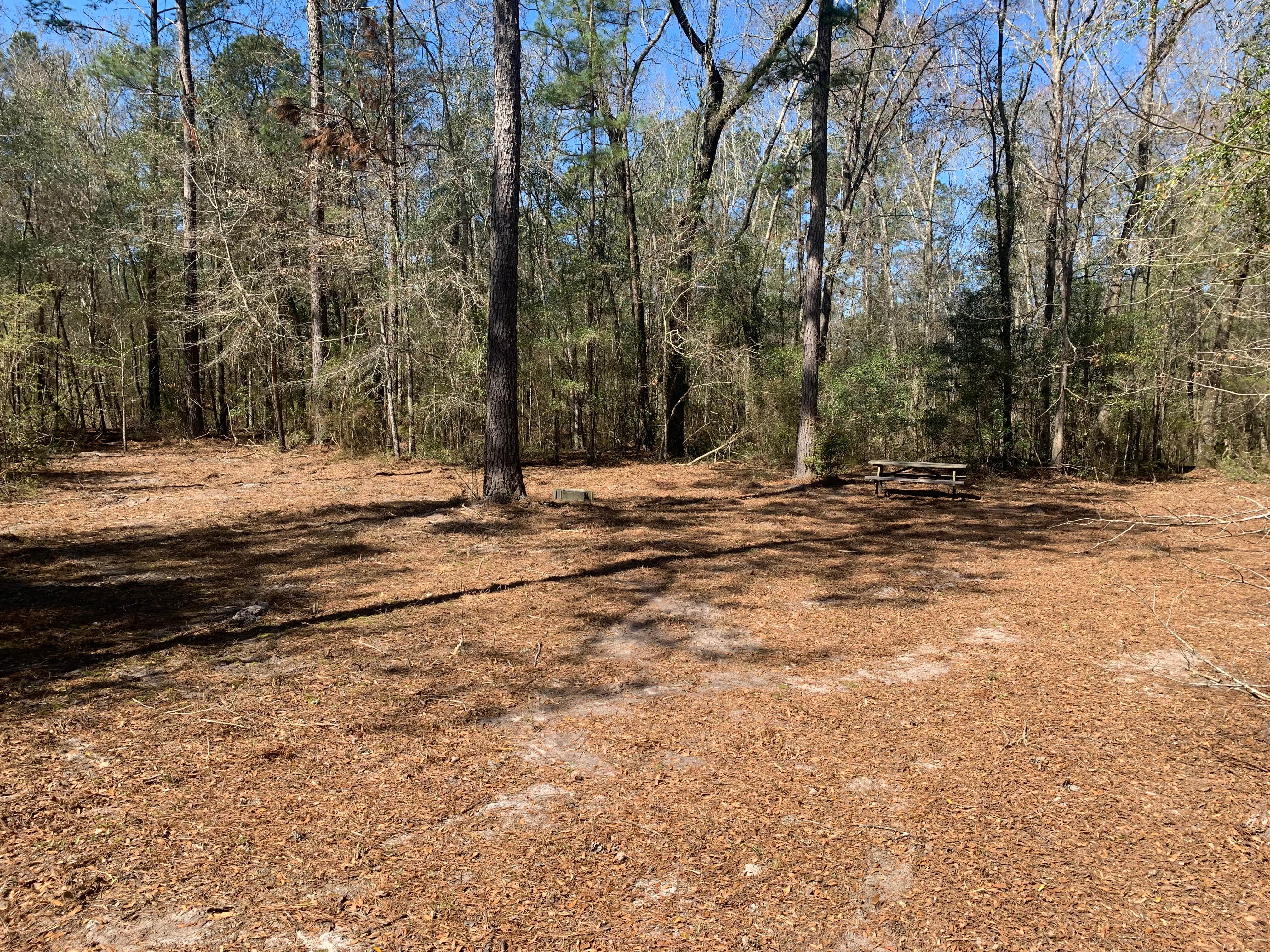 Camper-submitted photo at Black Pearl Farms near Orangeburg, SC