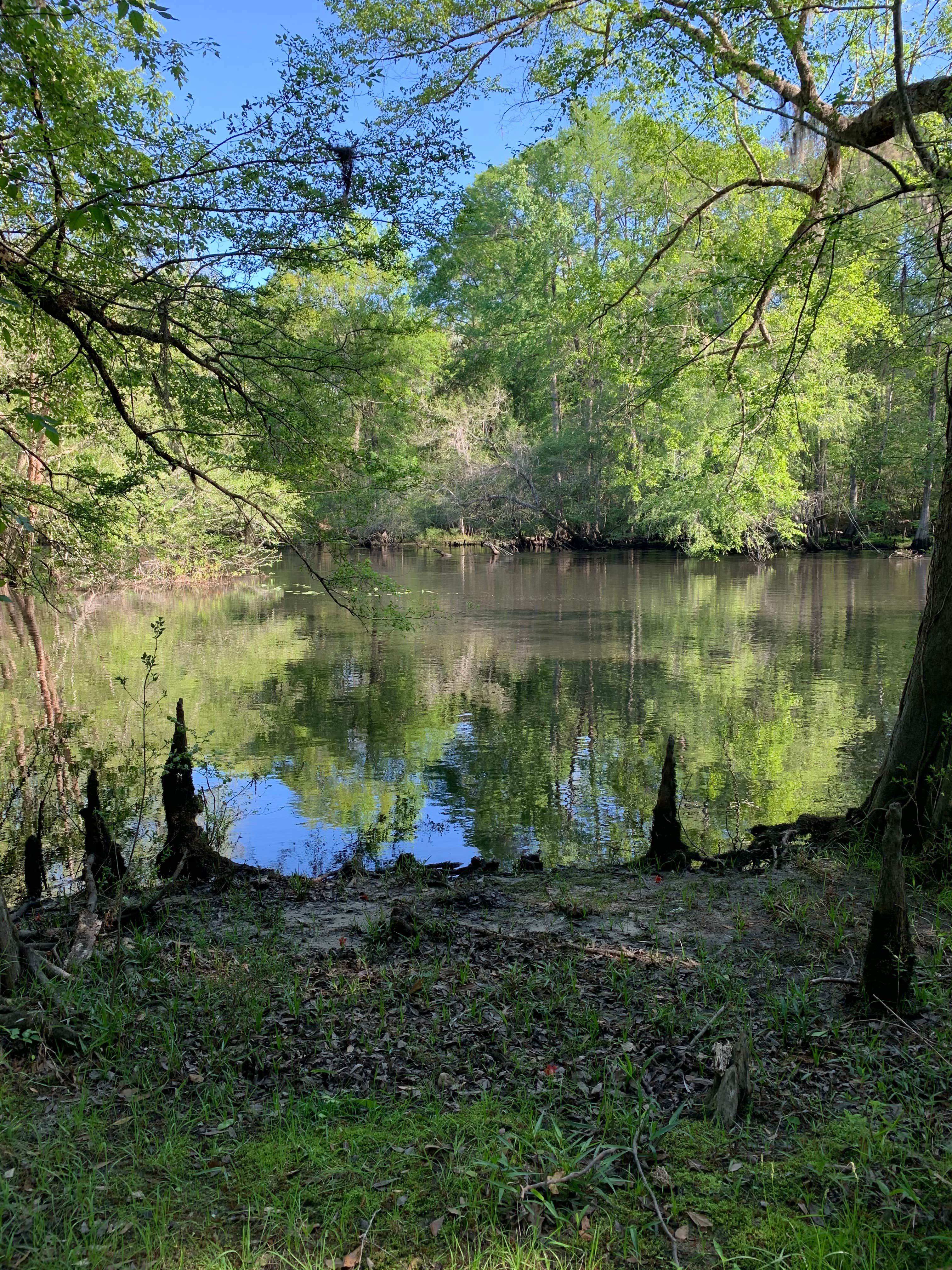Camper-submitted photo at Black Pearl Farms near Orangeburg, SC