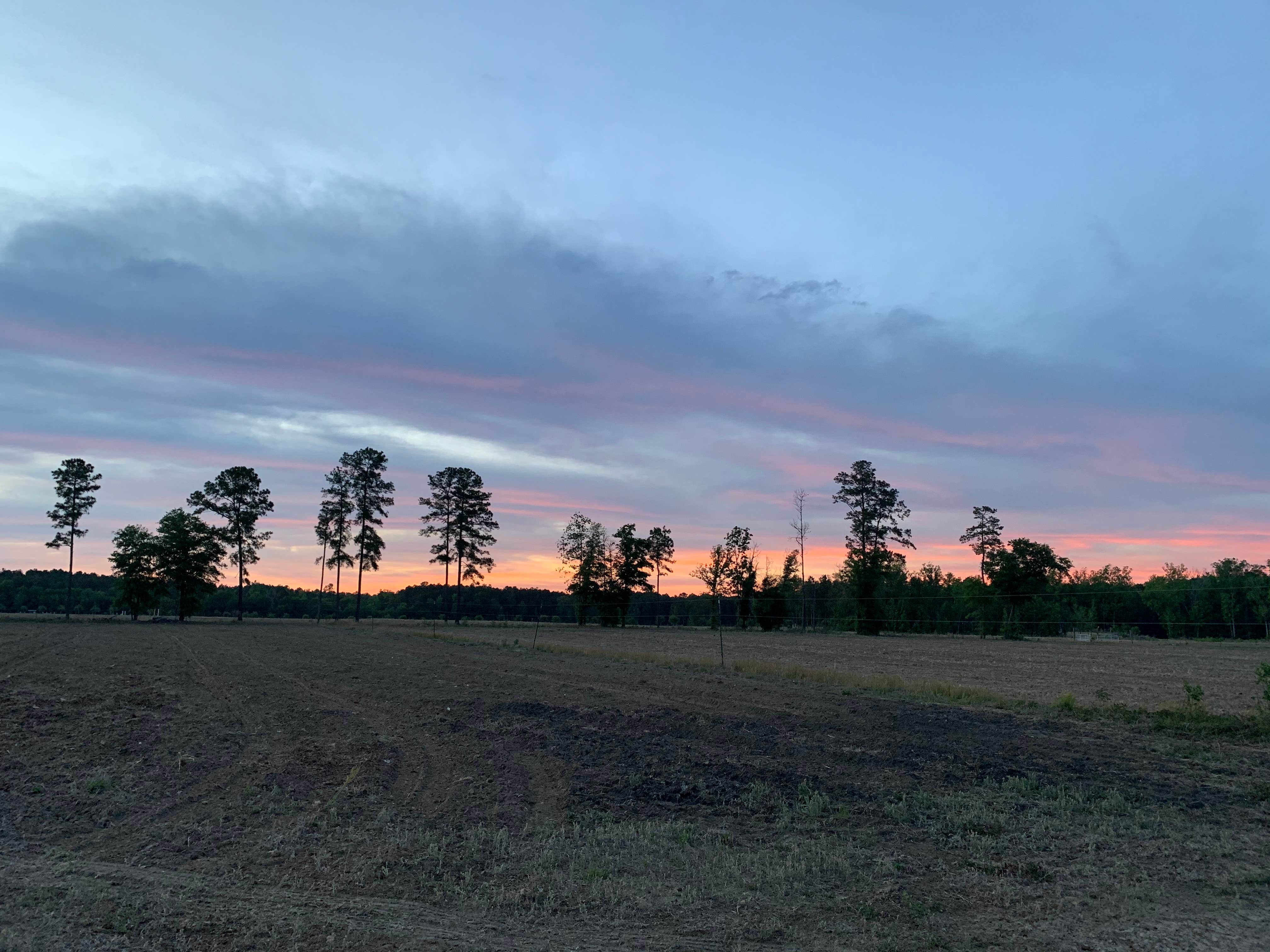 Camper-submitted photo at Black Pearl Farms near Orangeburg, SC