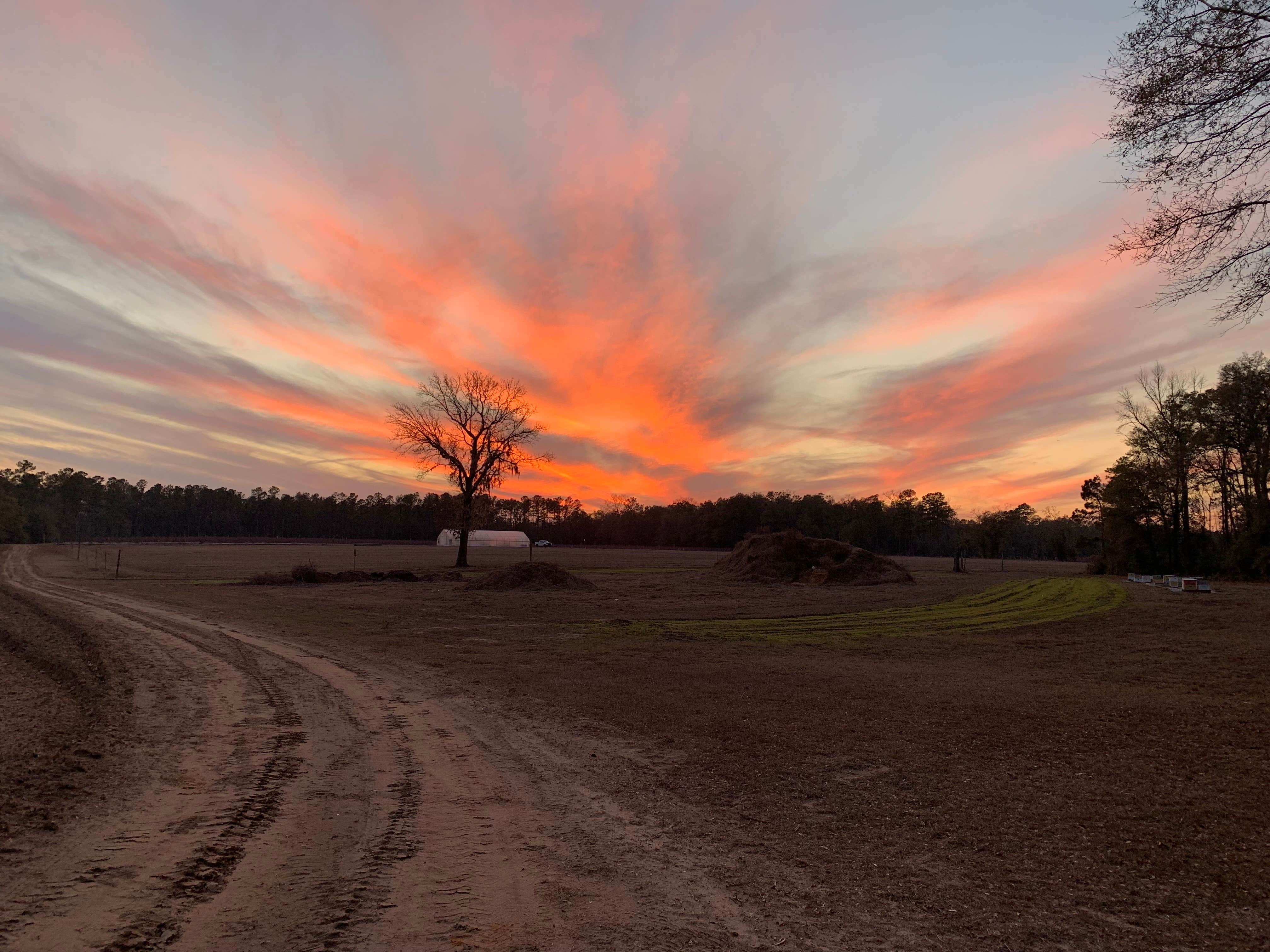 Camper-submitted photo at Black Pearl Farms near Orangeburg, SC