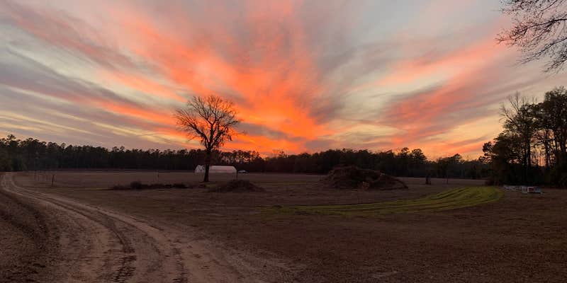 Camper submitted image from Black Pearl Farms