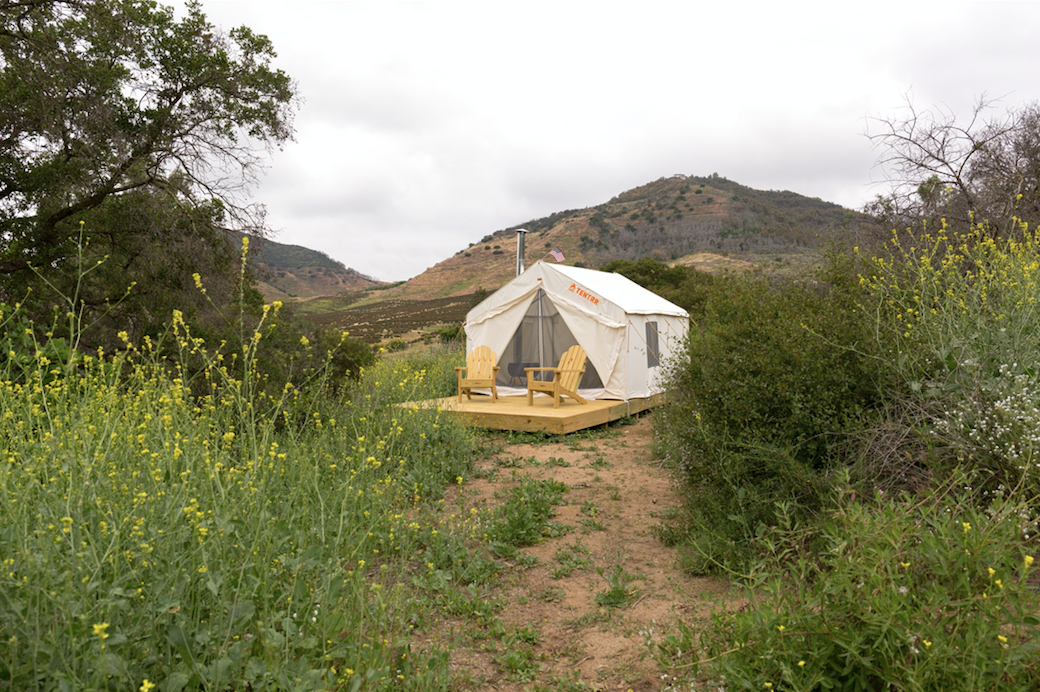 The Dyrt's photo at Chandelier Springs near Pauma Valley, CA