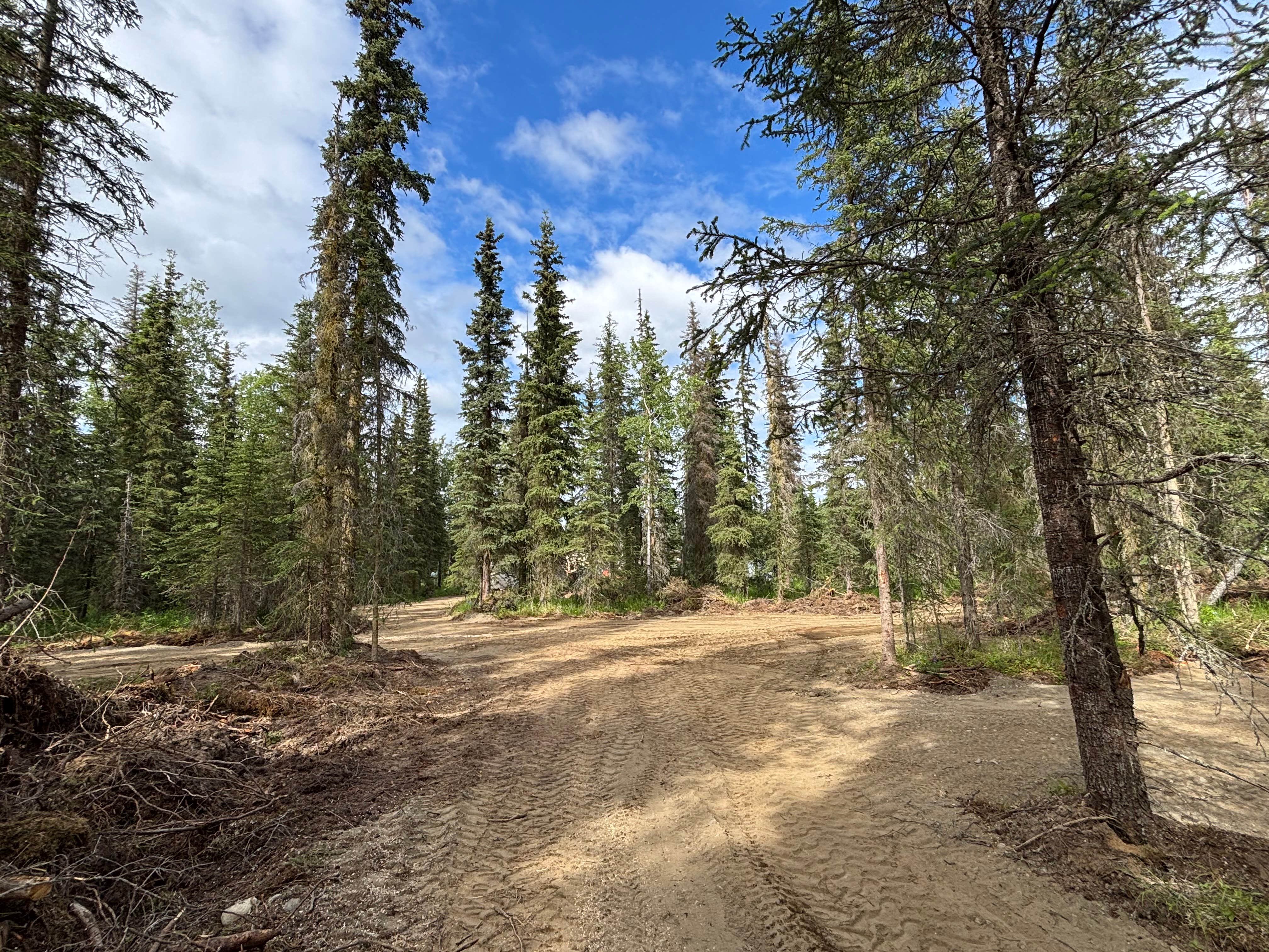 Camper submitted image from Kasilof Family Campground - 2